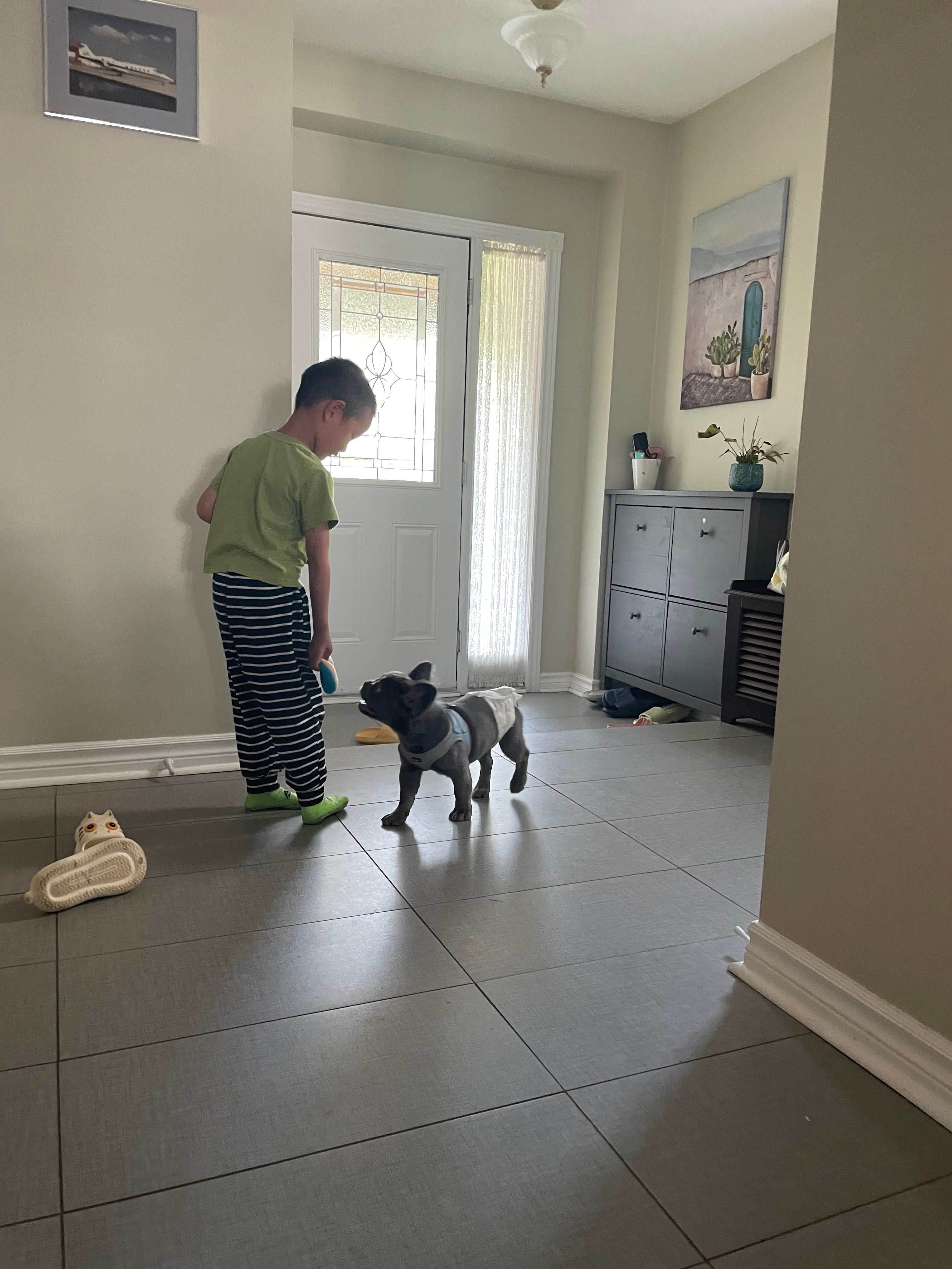 image-32
