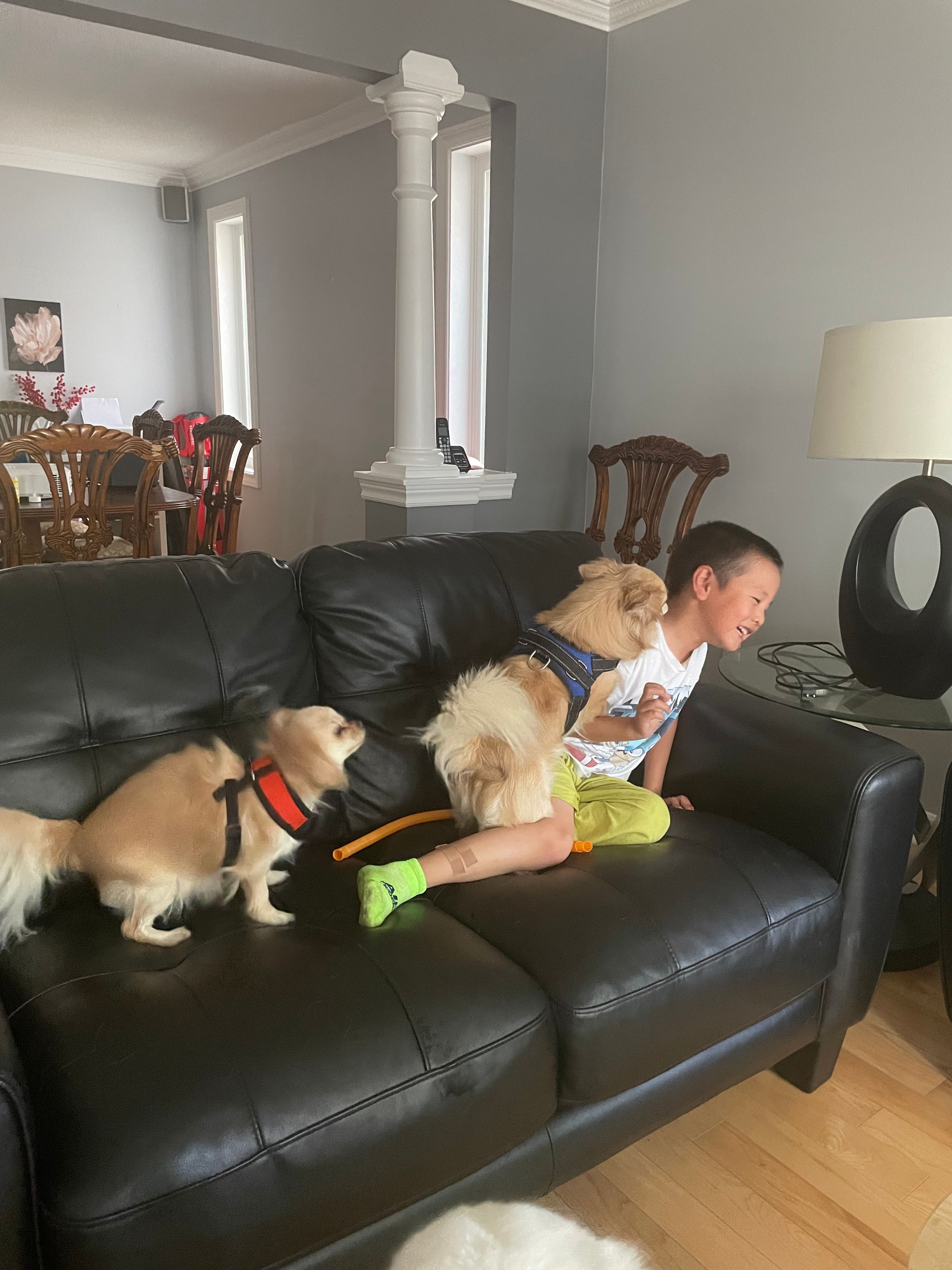 image-26