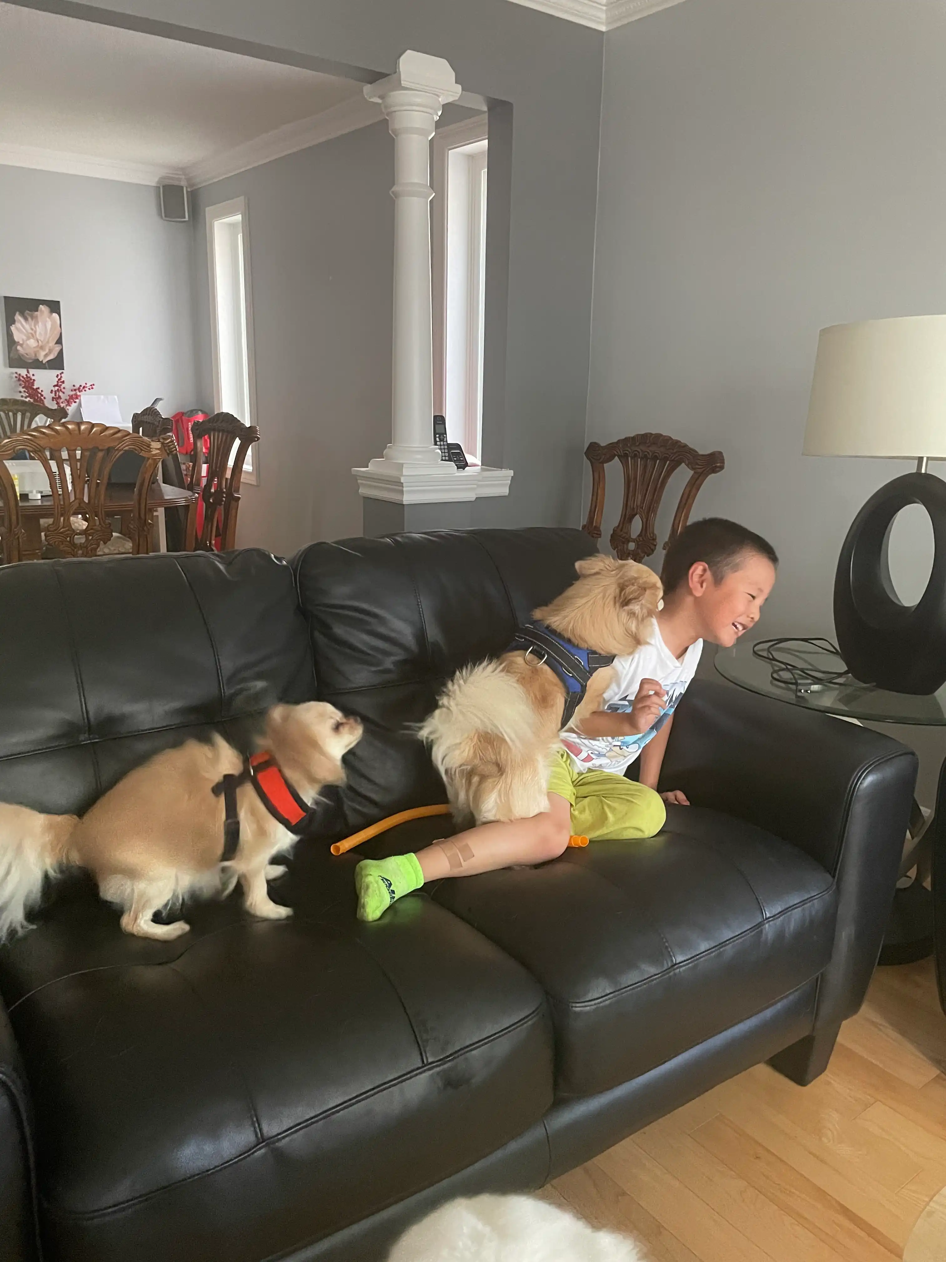image-26
