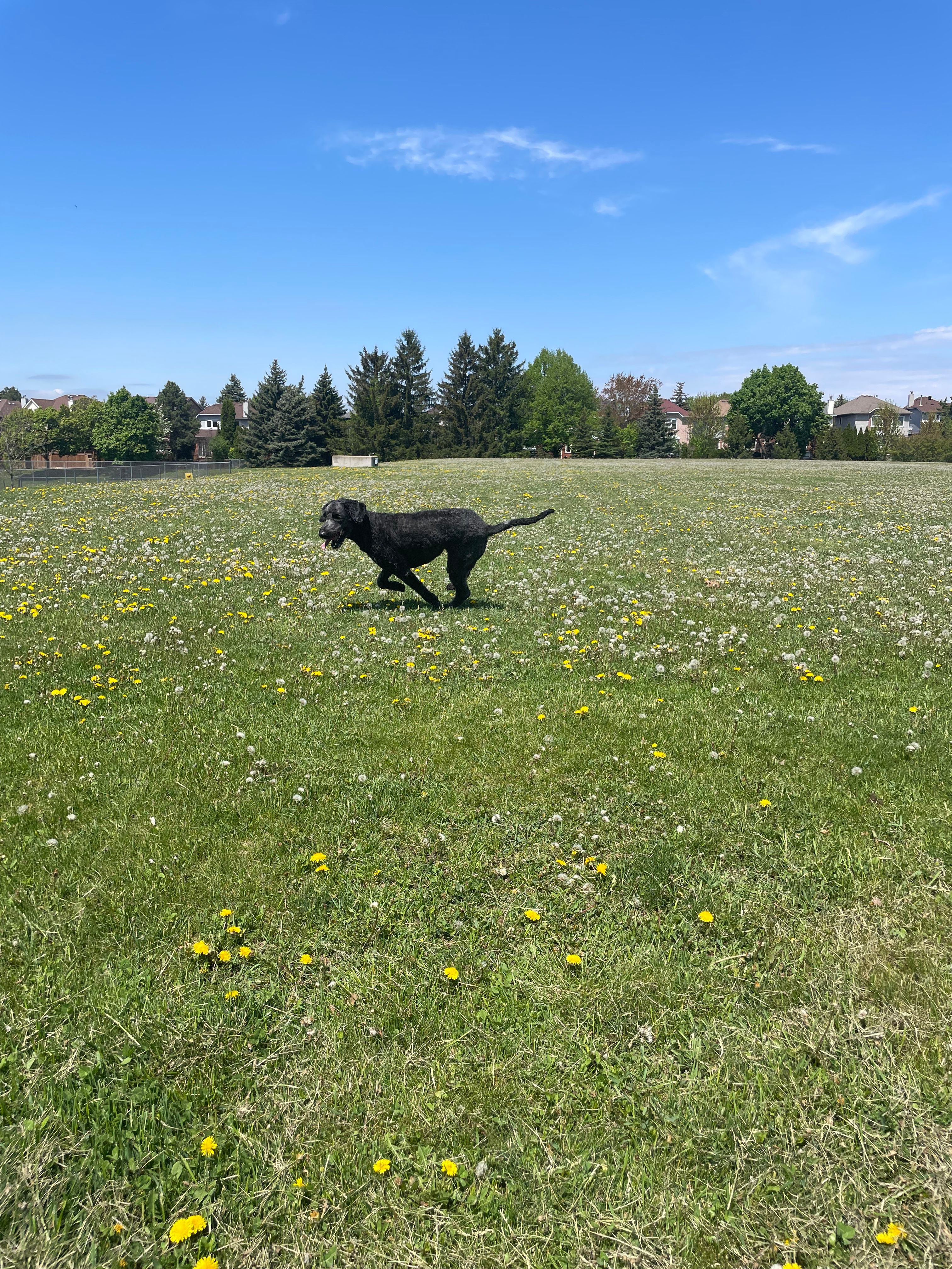 image-29