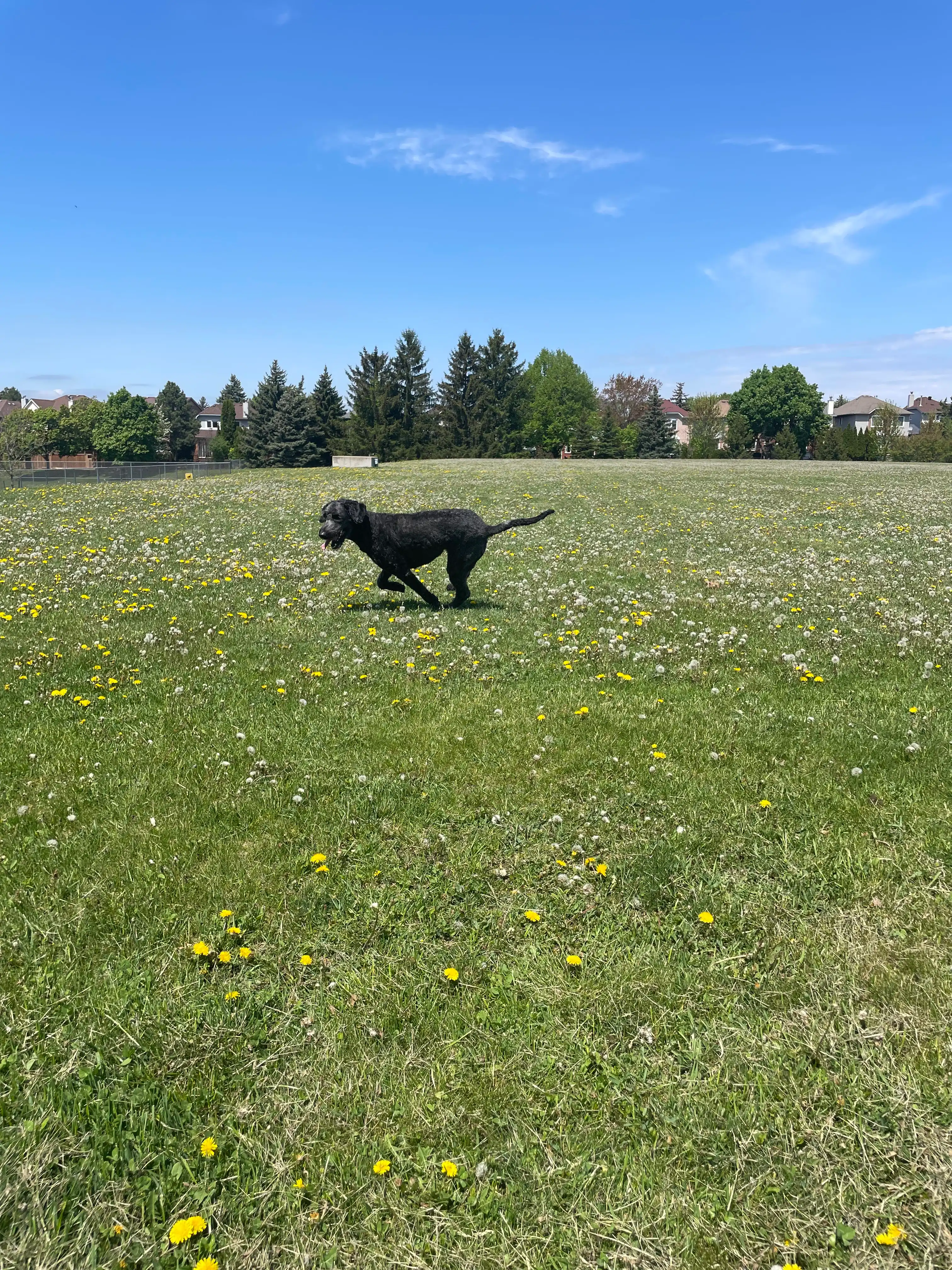 image-29