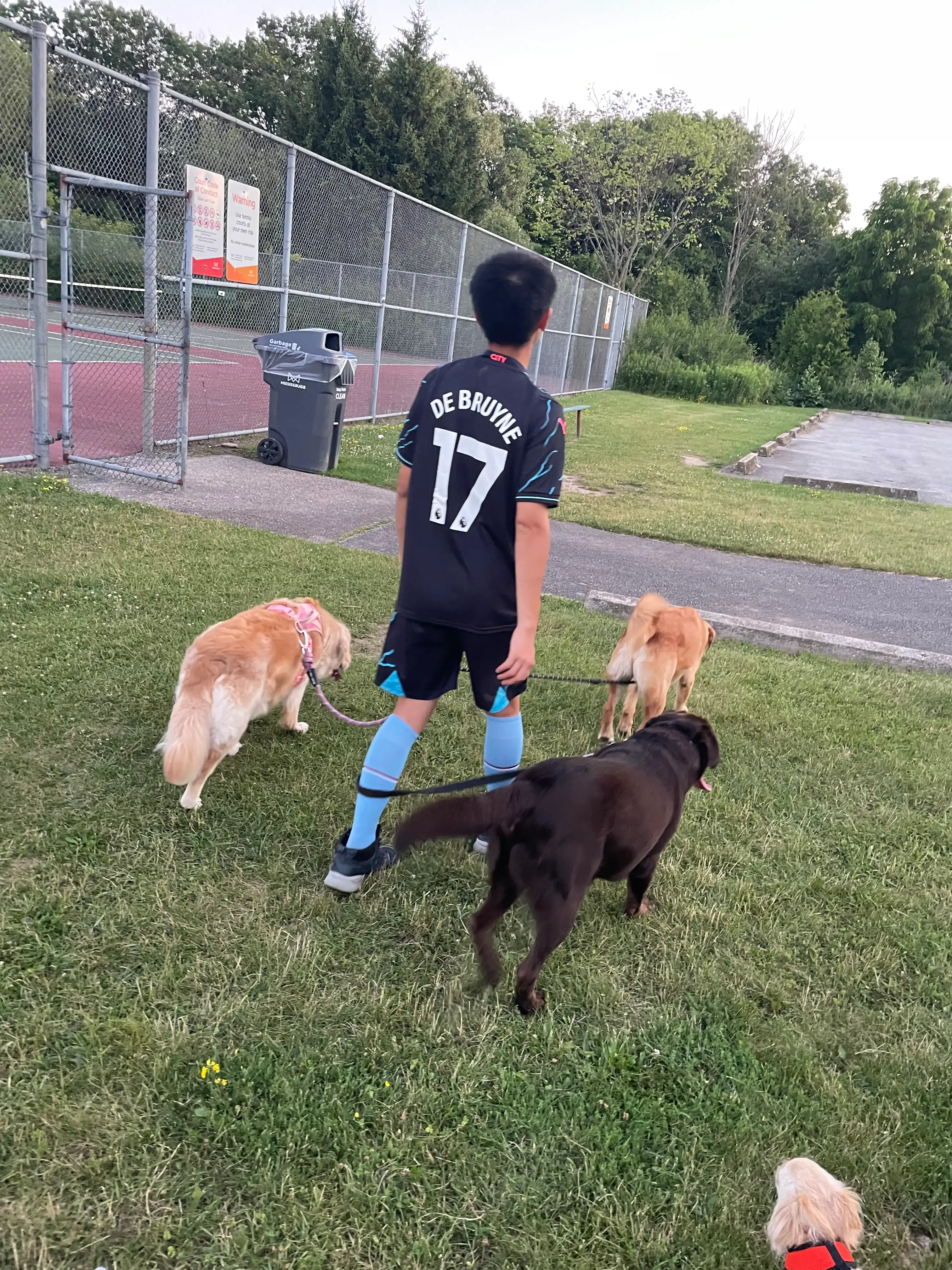 image-28