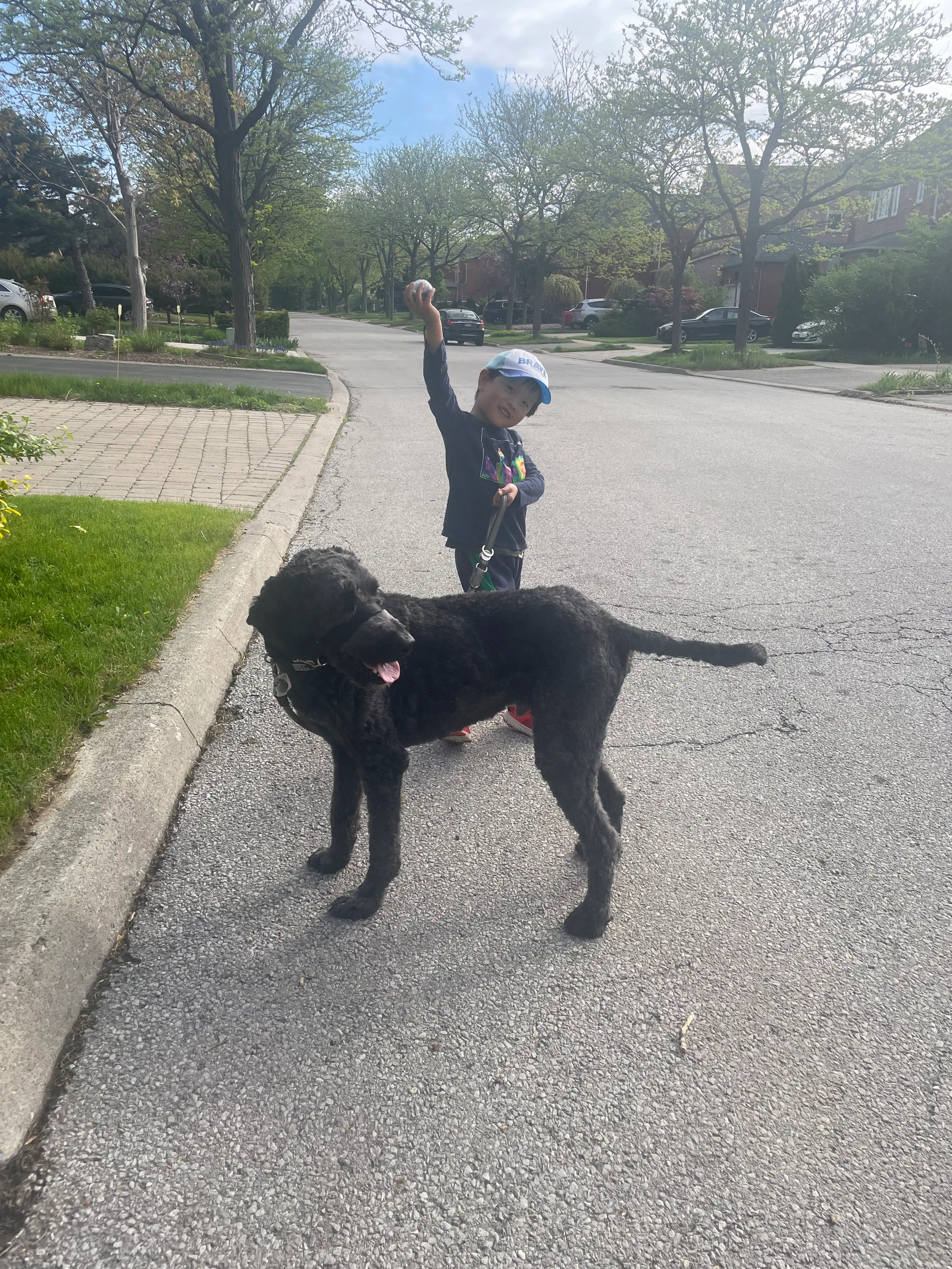 image-18