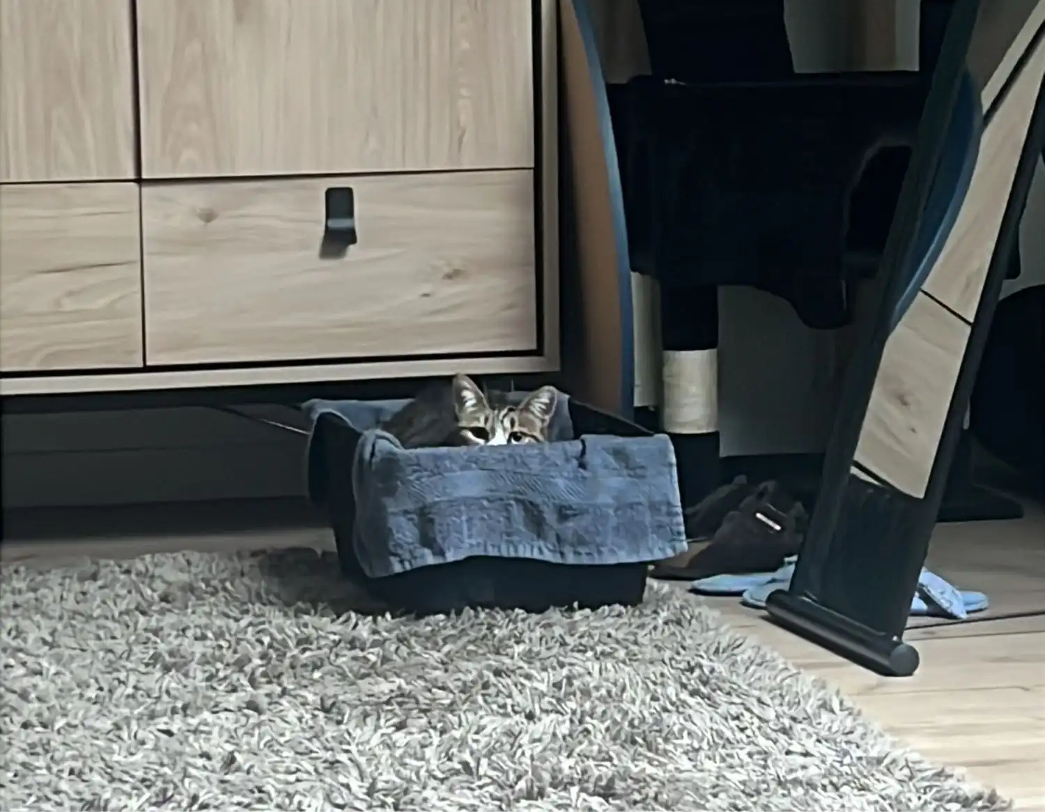 image-7