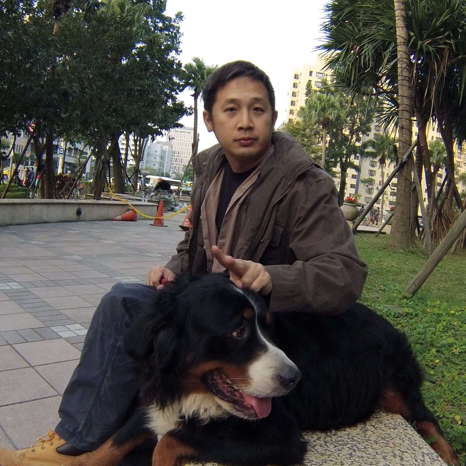 image-5