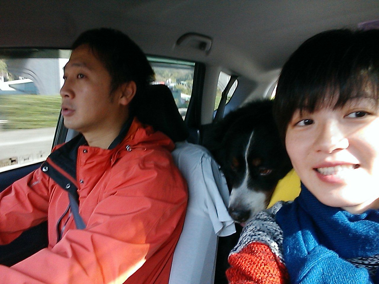 image-7