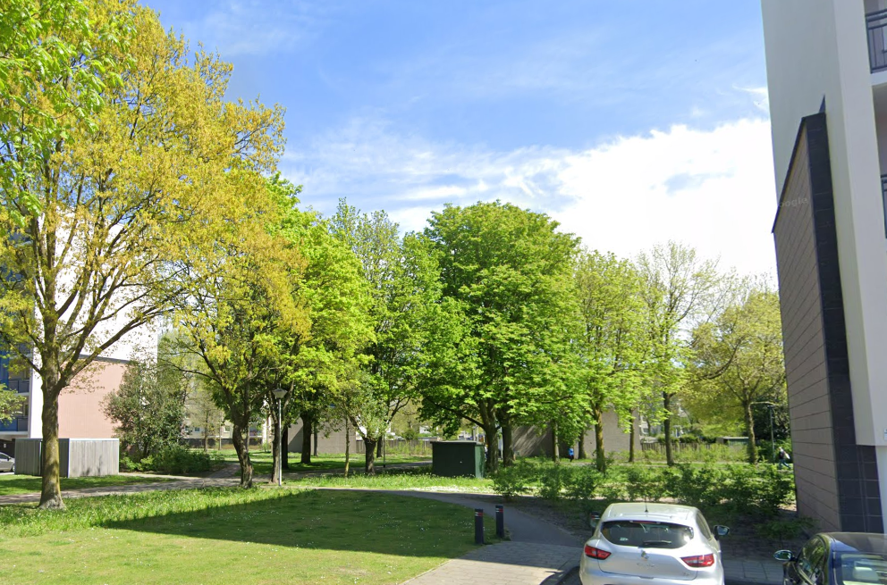 image-16