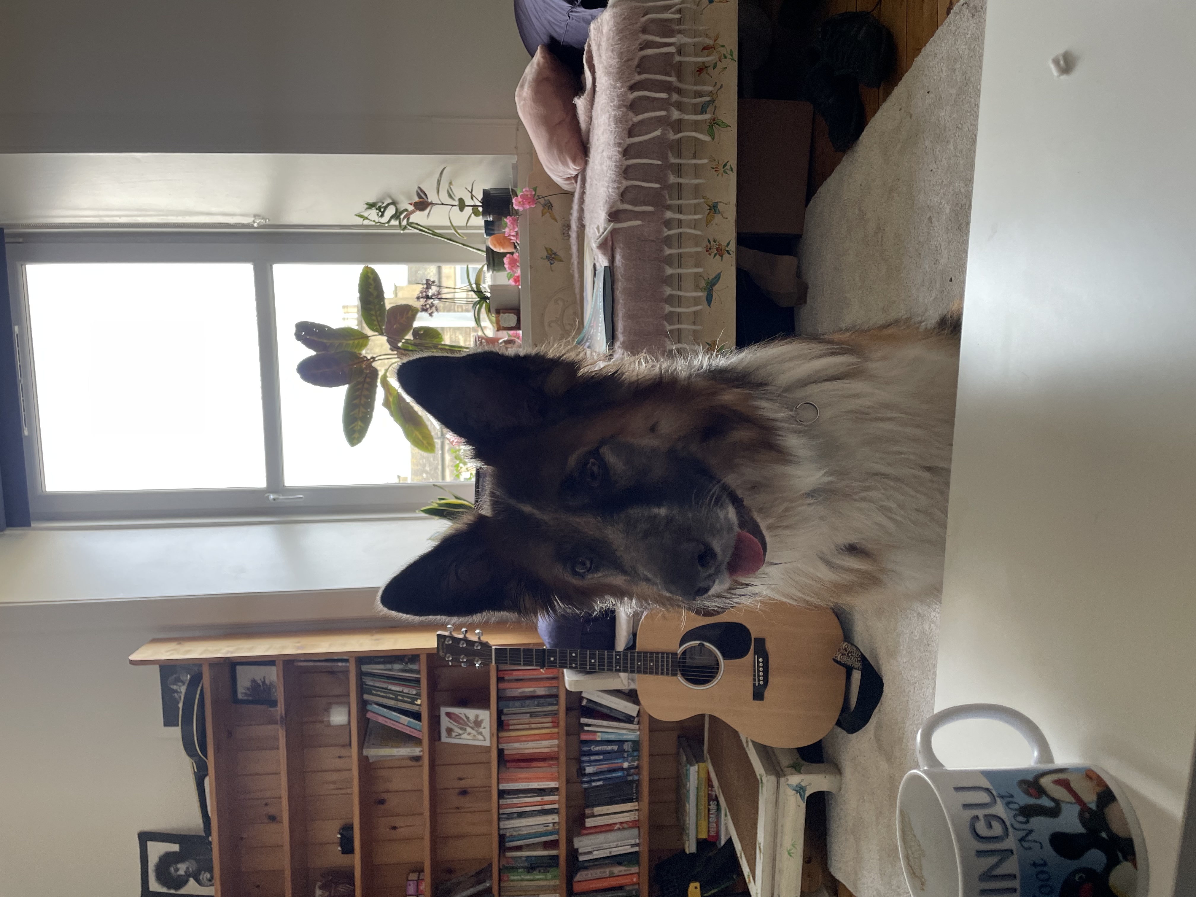 image-7