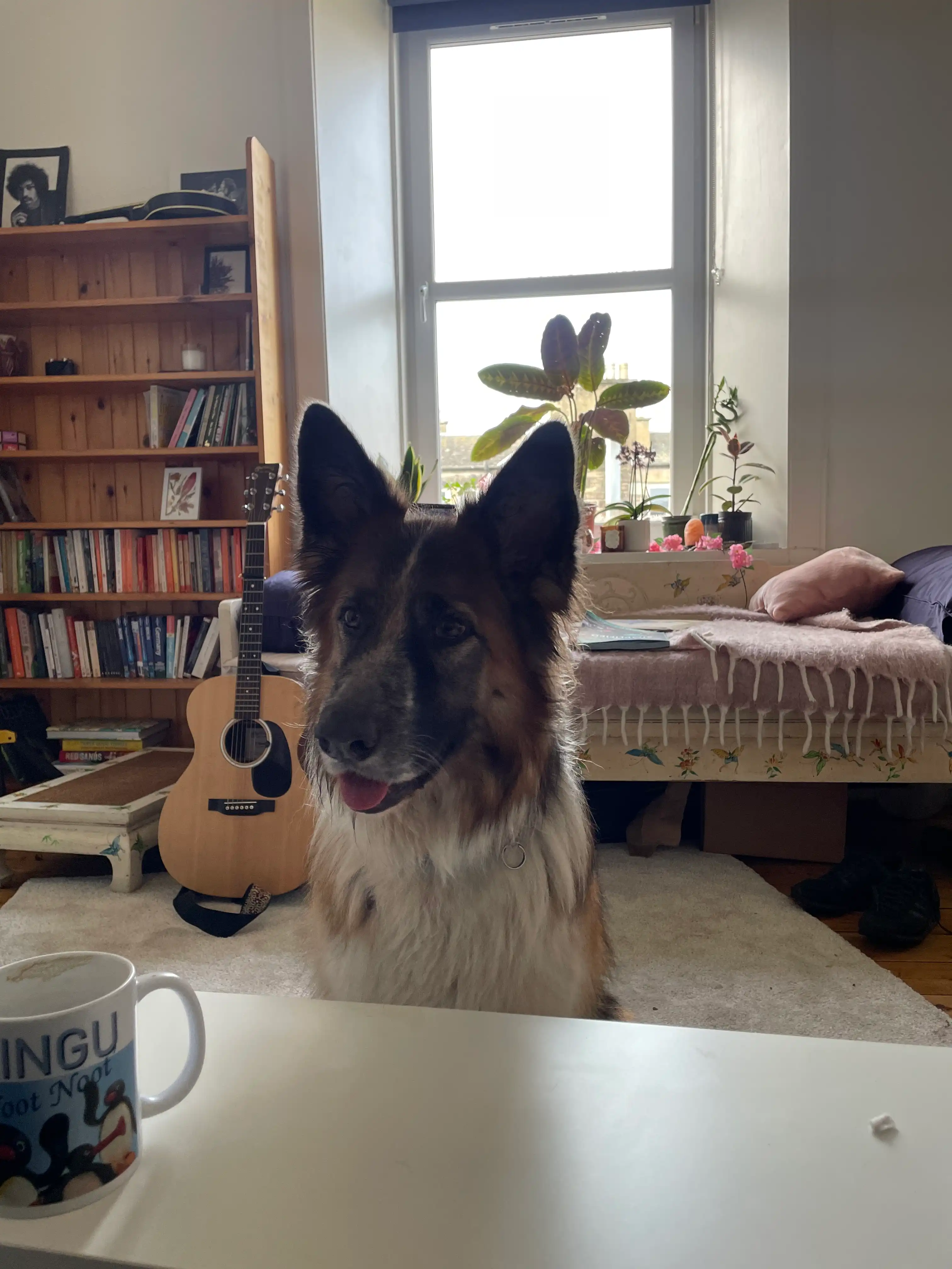 image-7