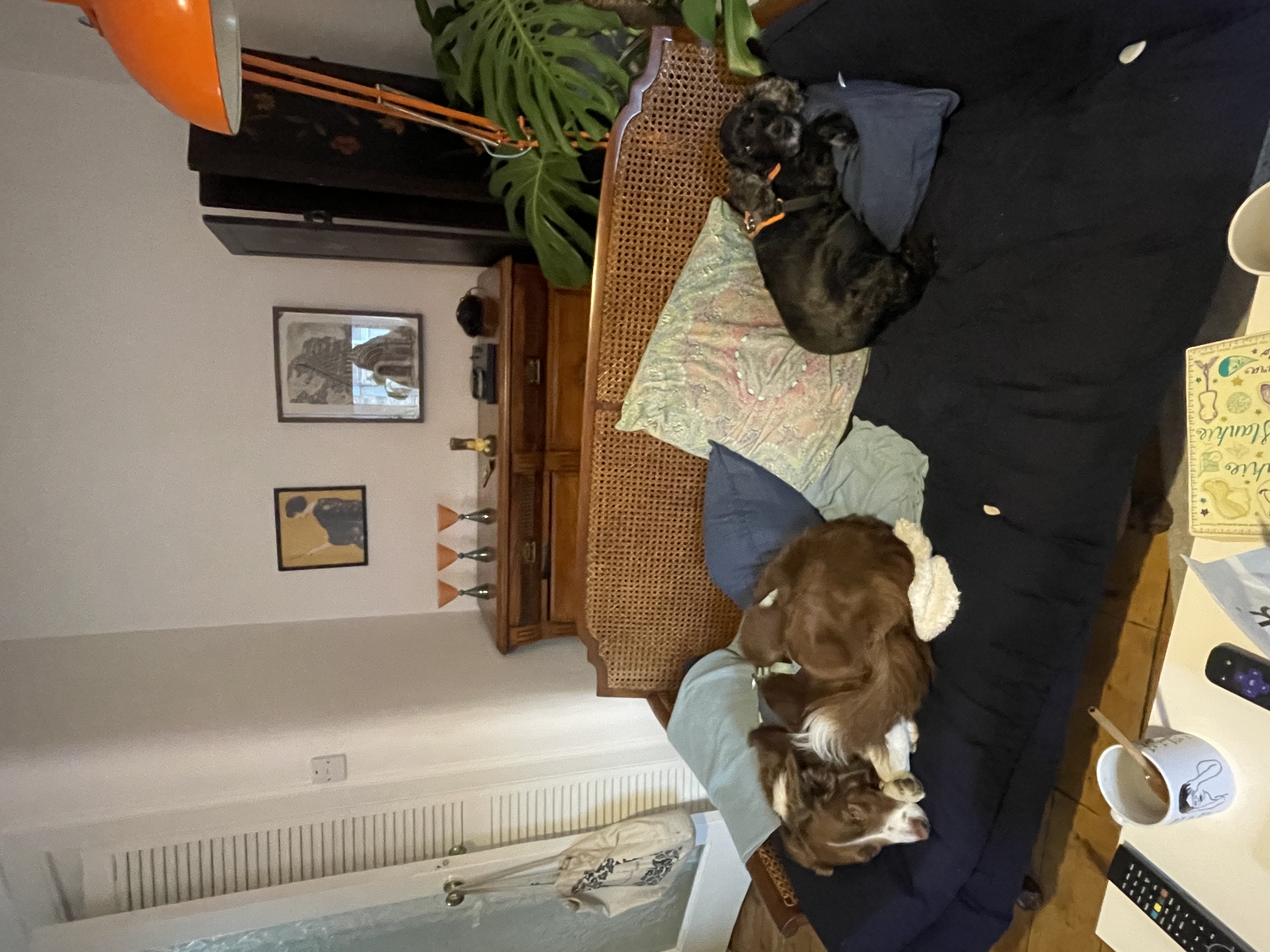 image-13