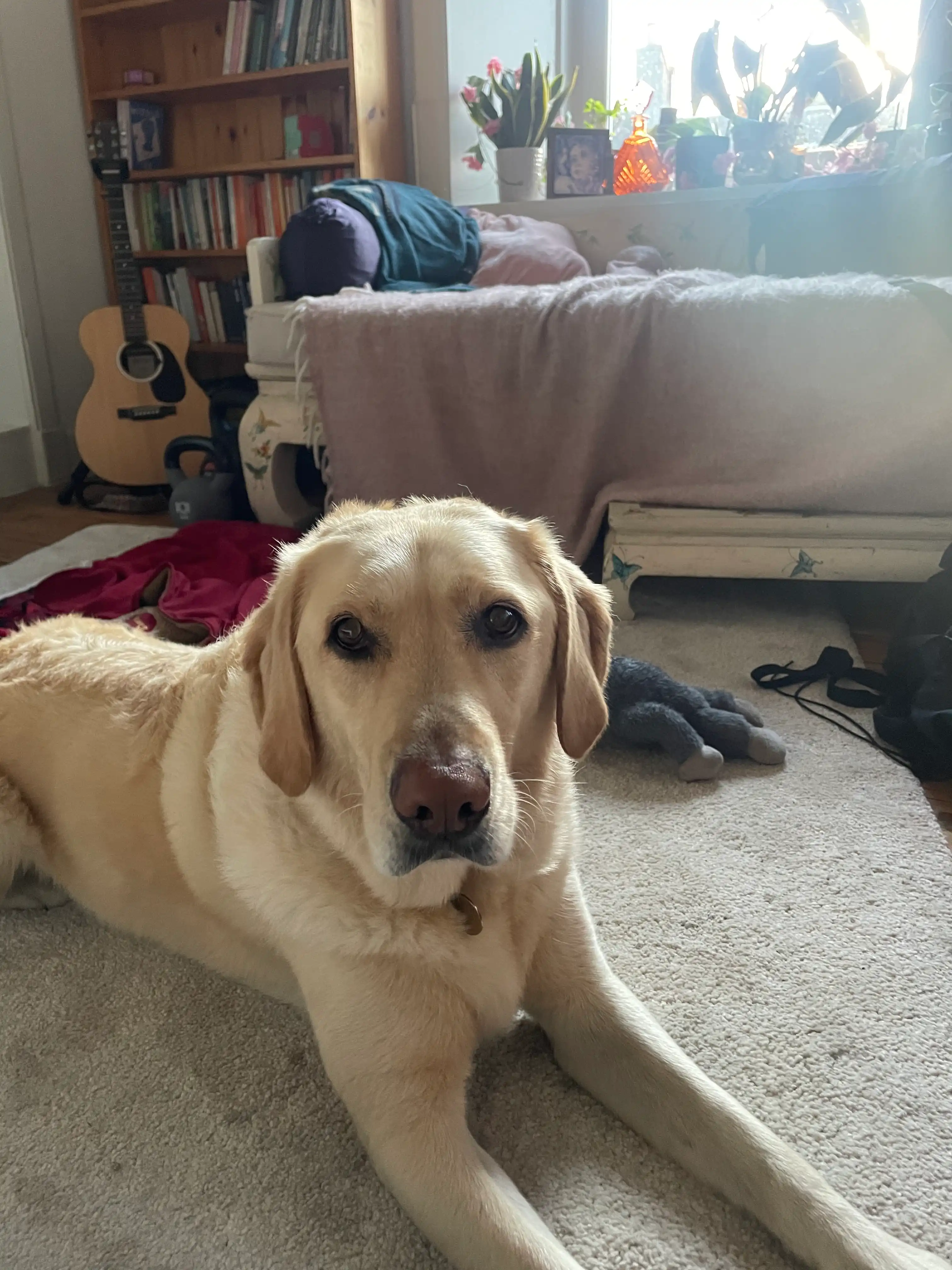 image-16