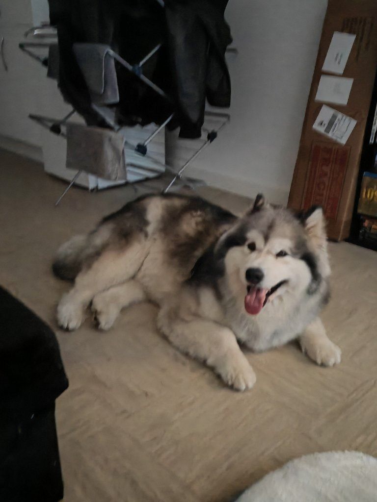 image-17
