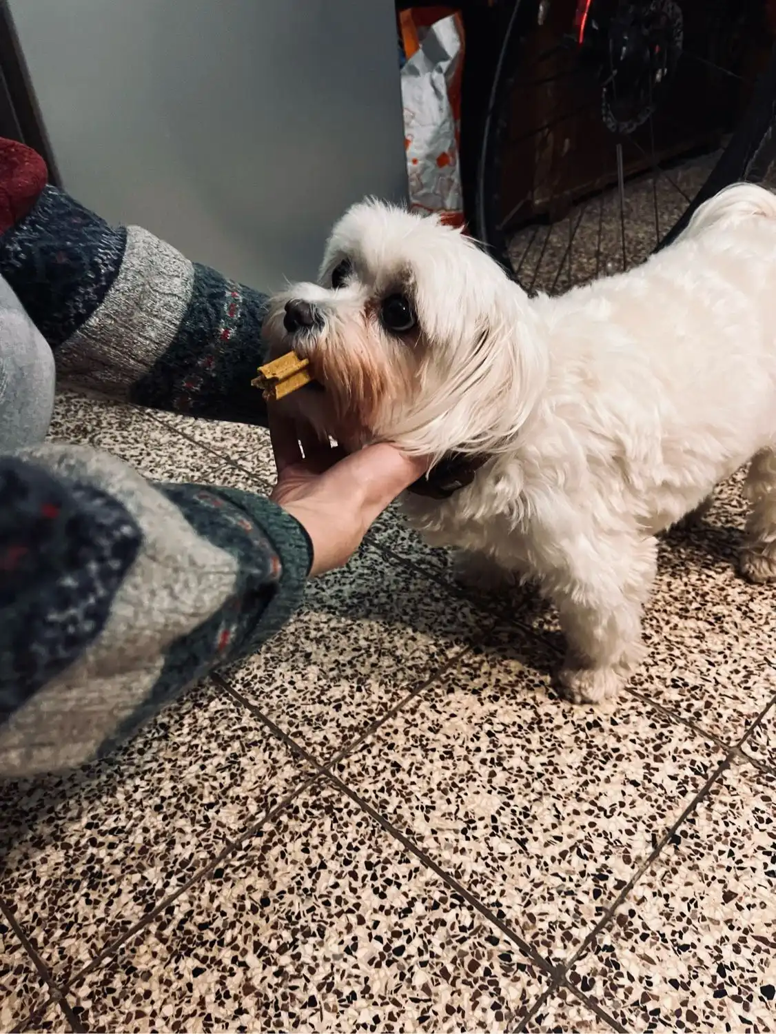image-17
