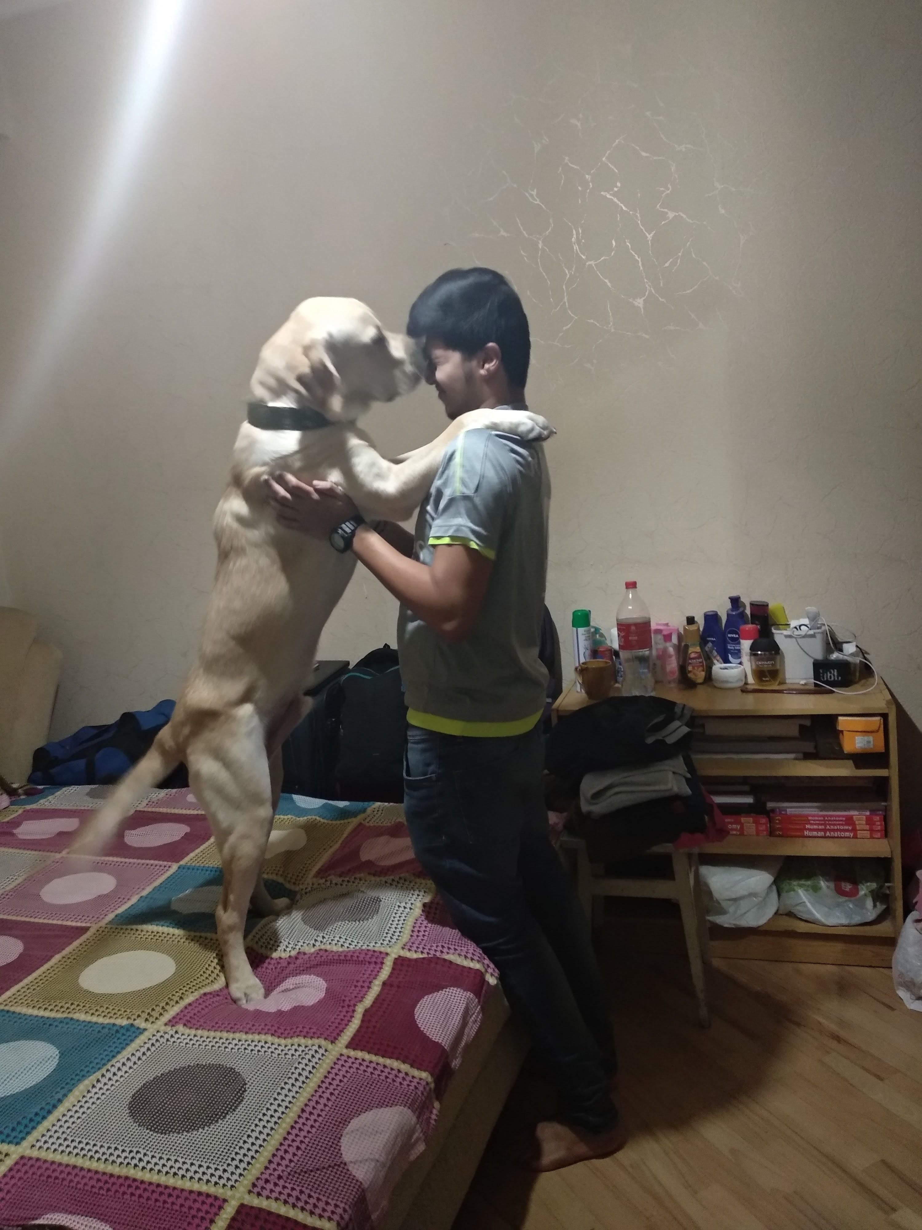 image-4