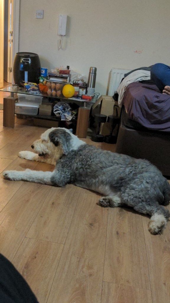 image-32
