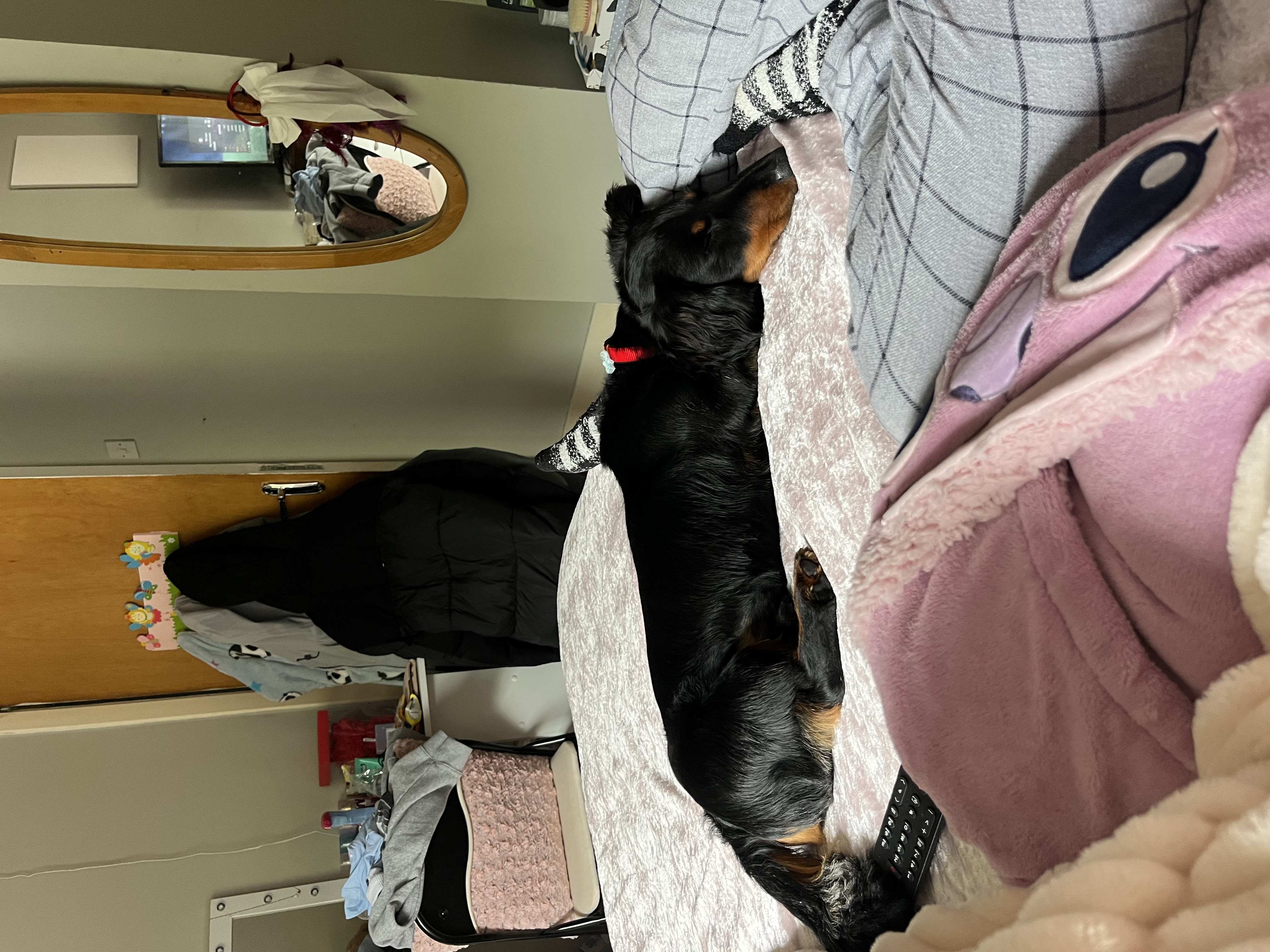 image-14