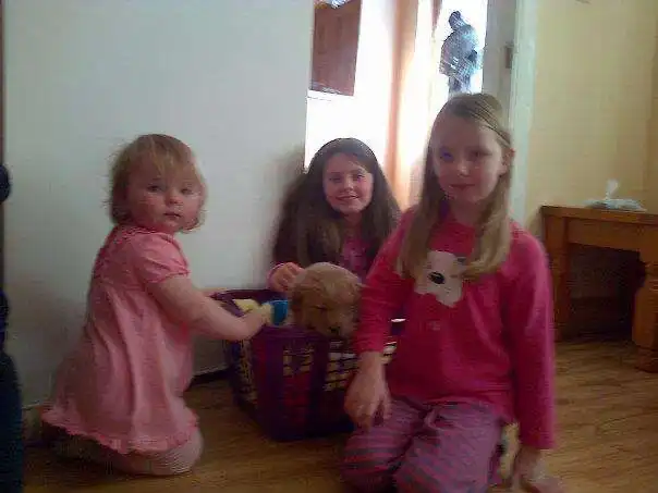 image-26