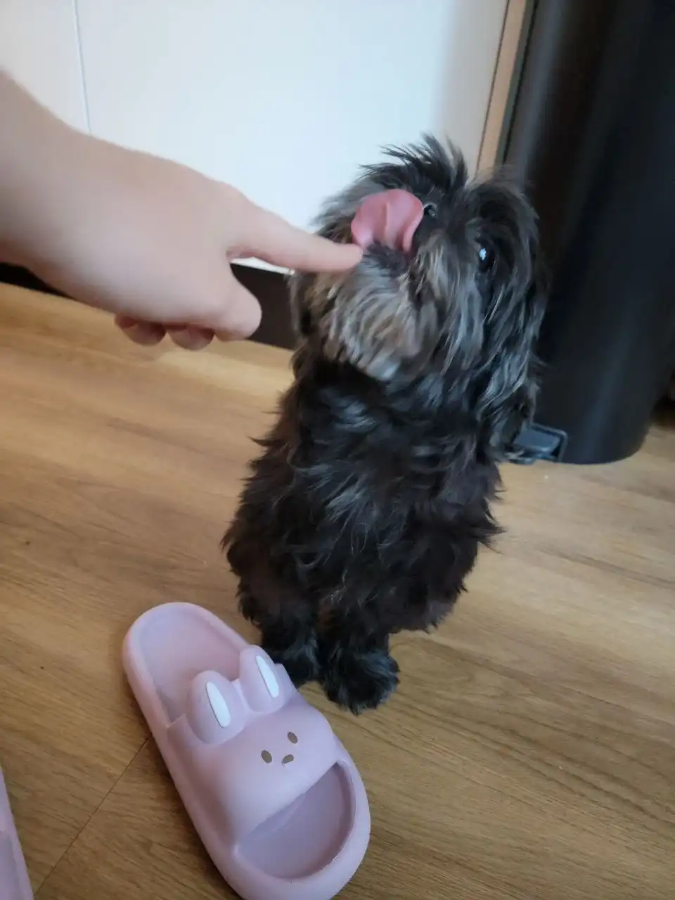 image-7