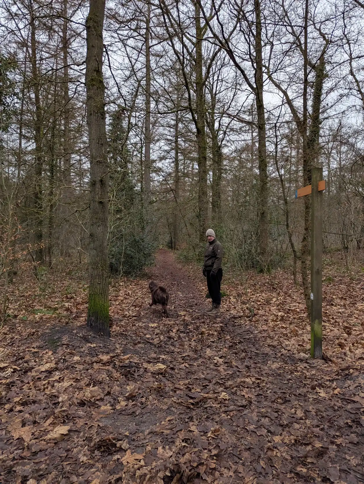 image-9