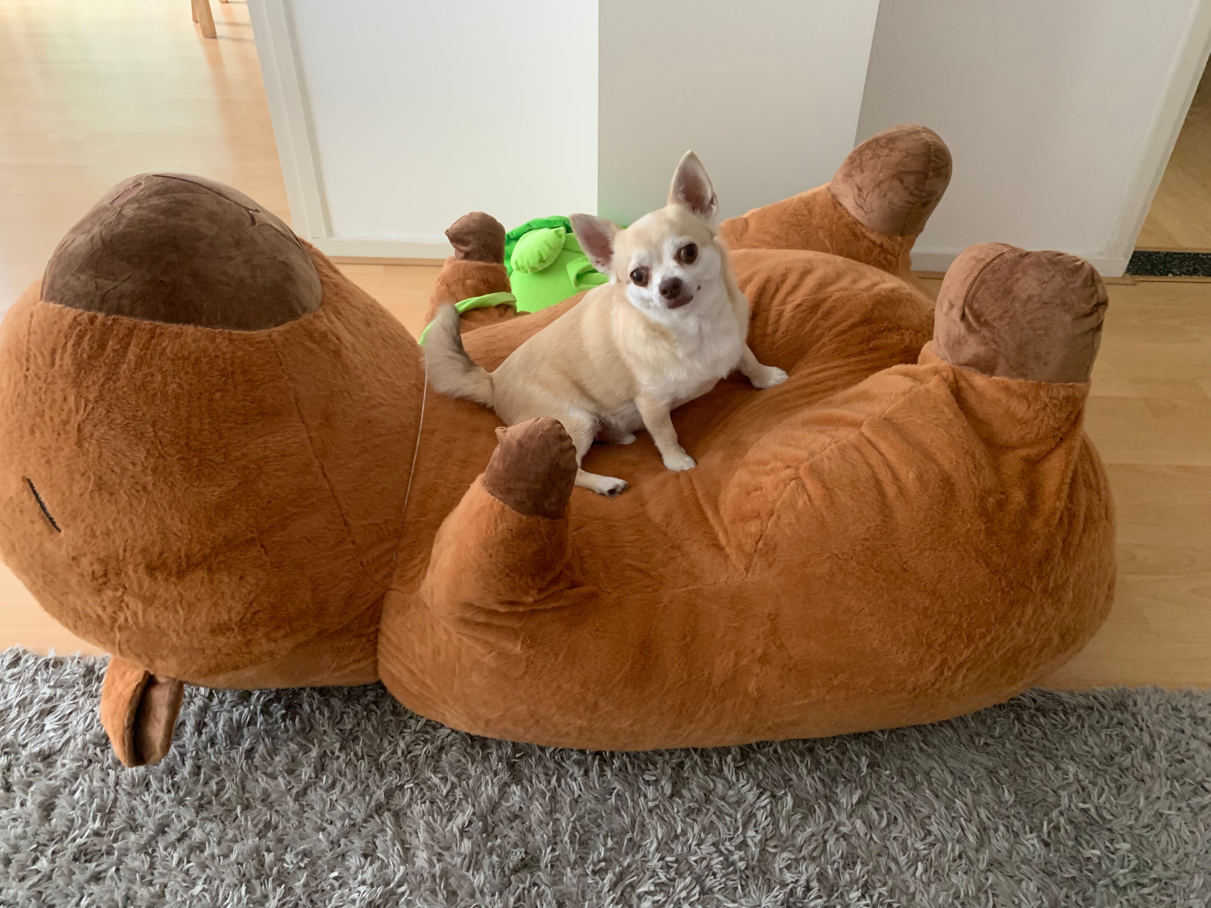 image-6