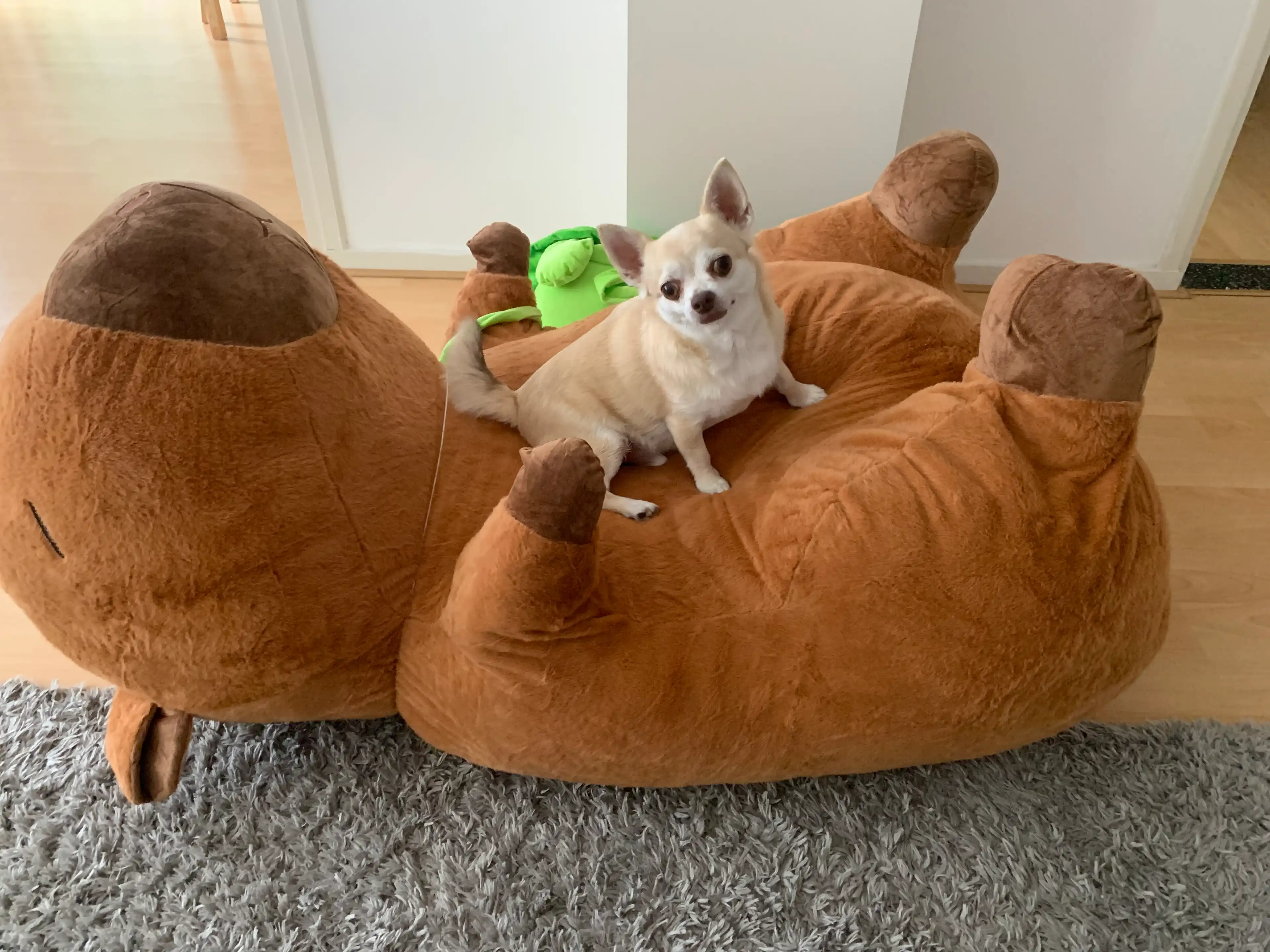 image-6