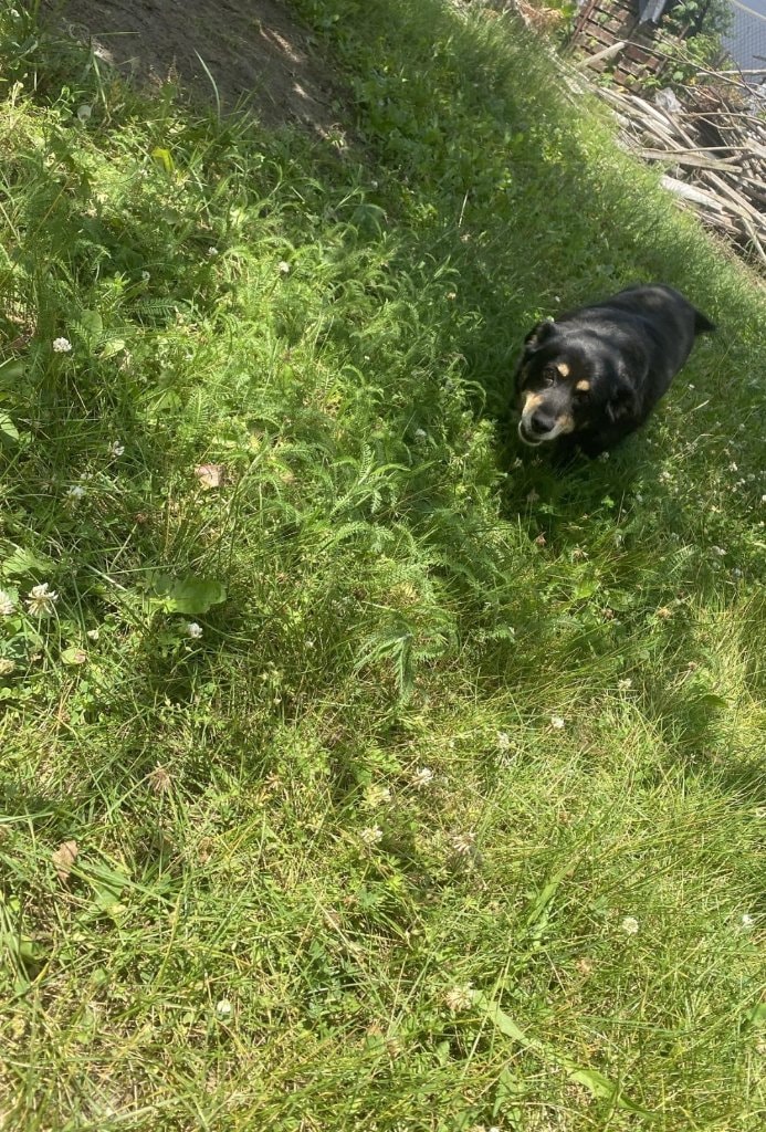 image-12