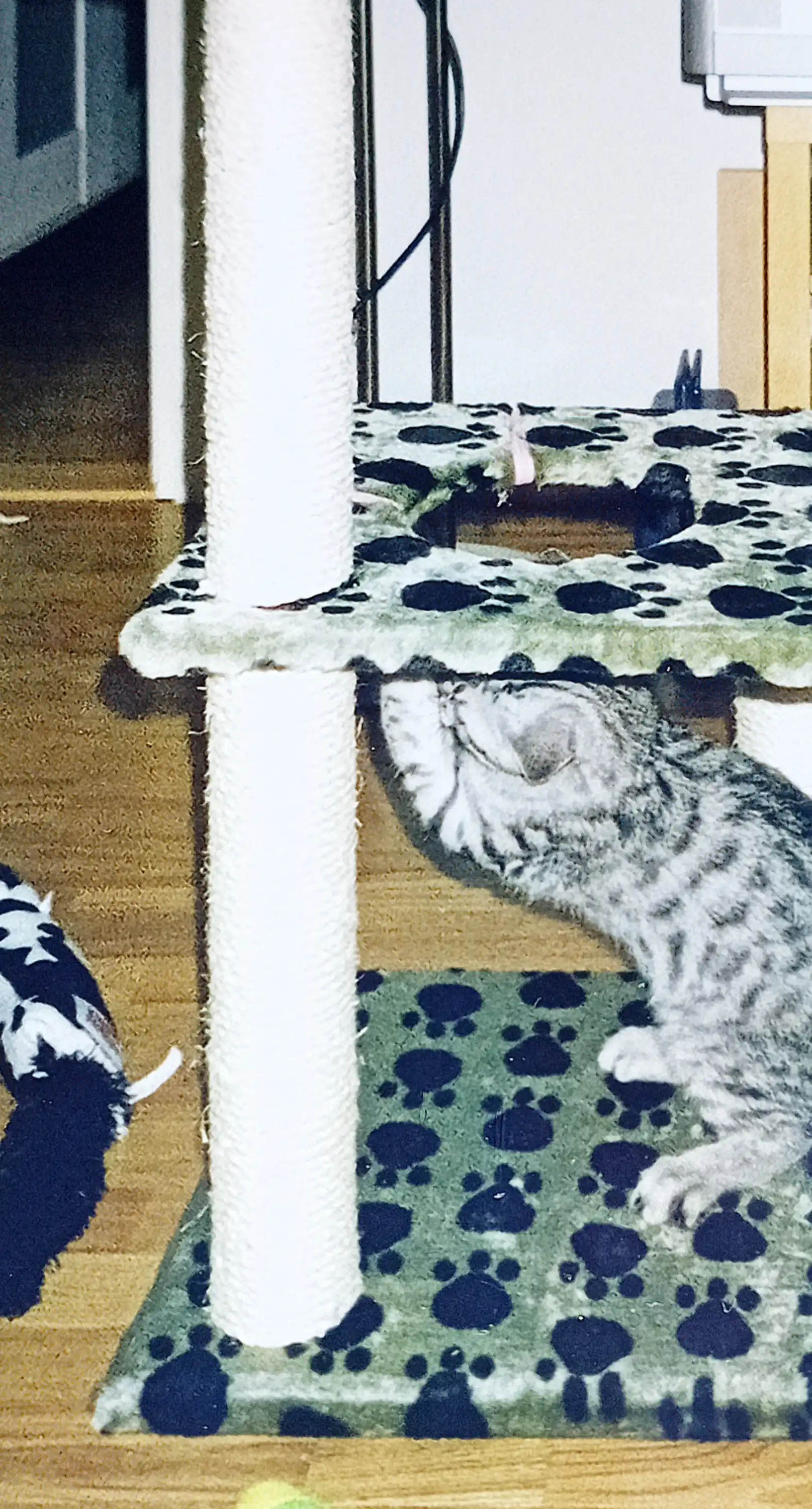 image-10