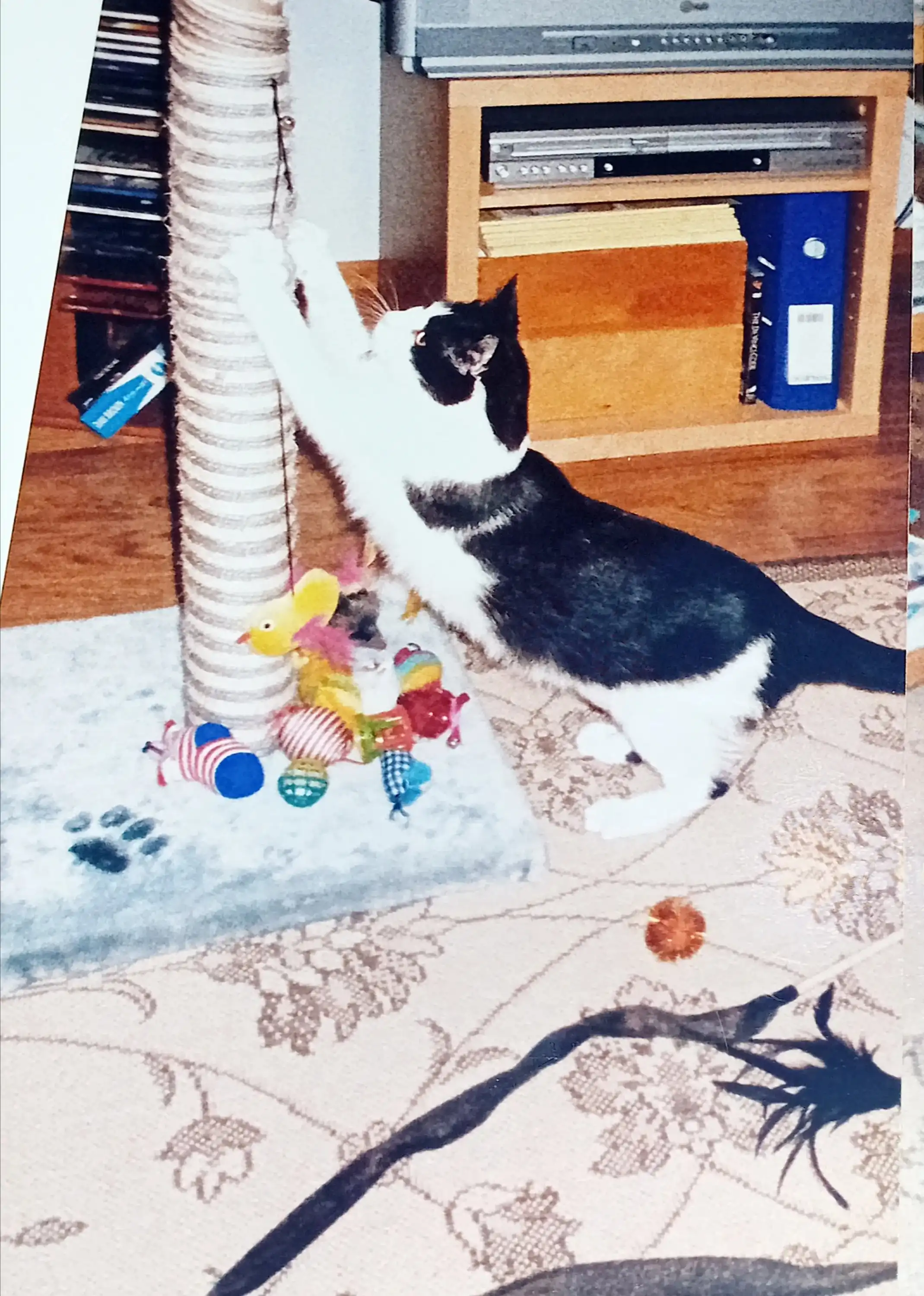 image-8
