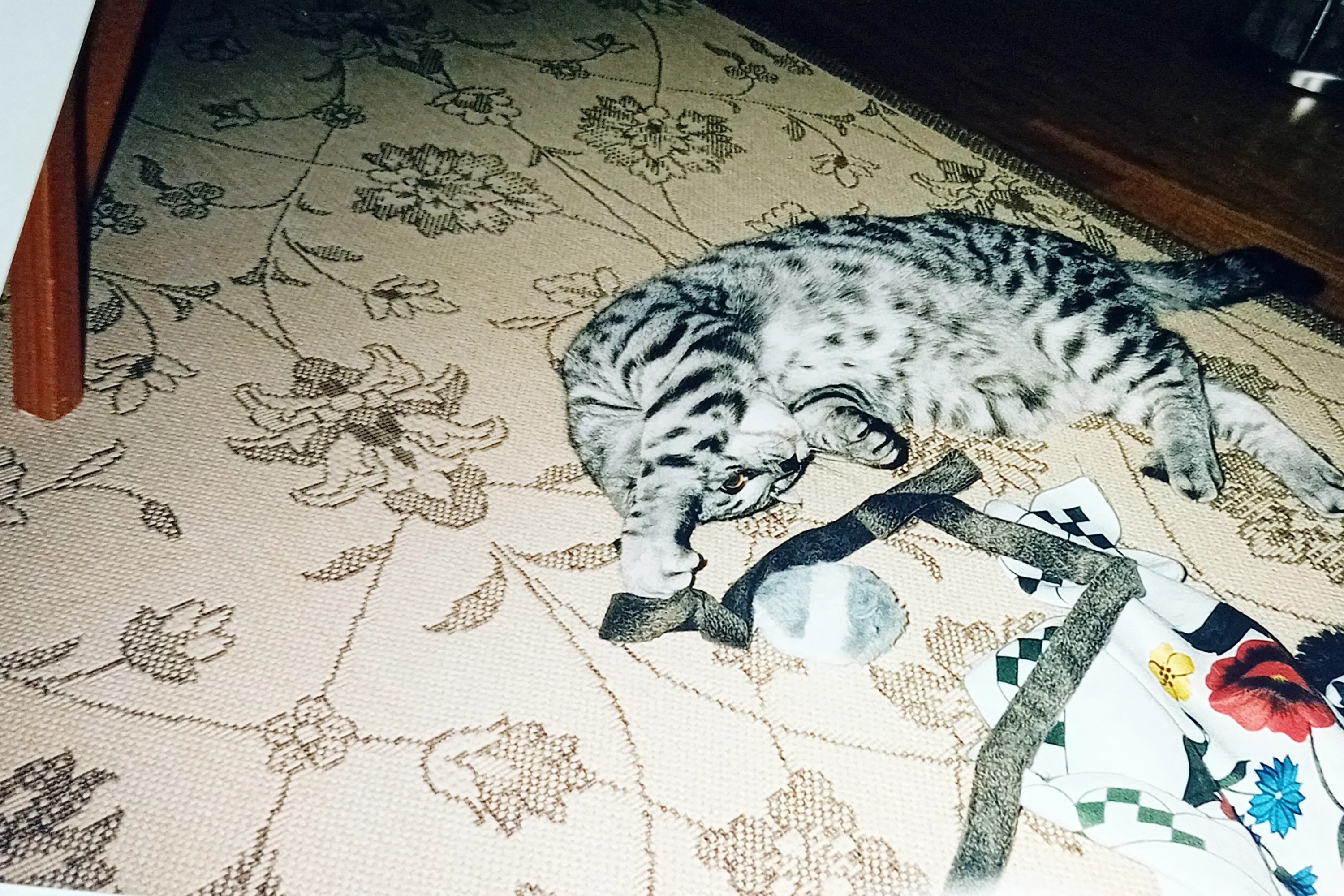 image-5
