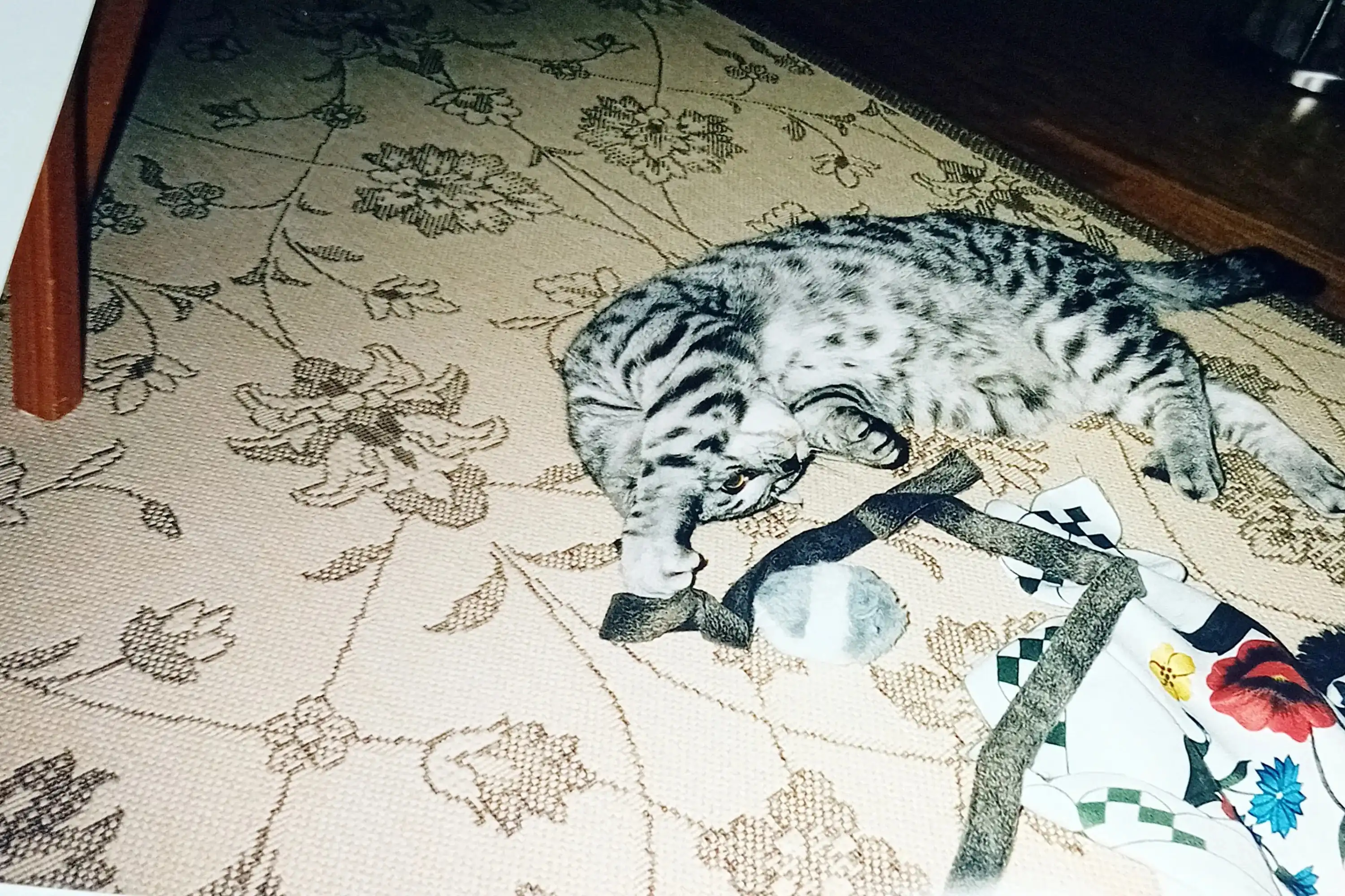 image-5