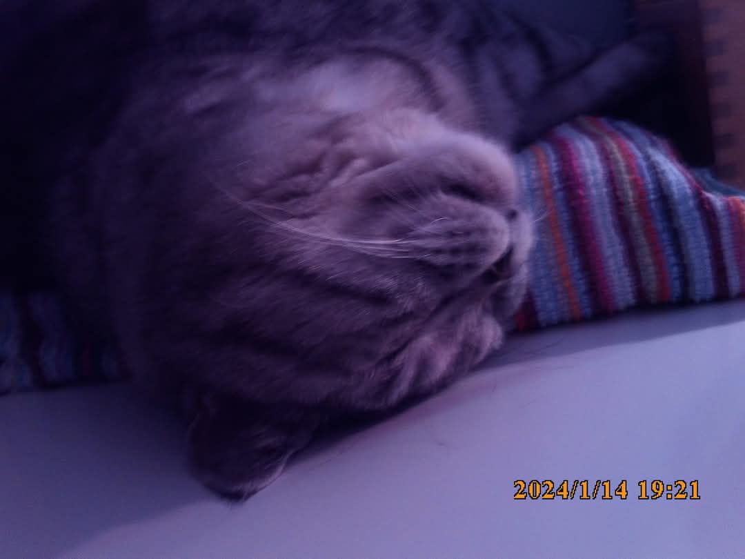 image-2