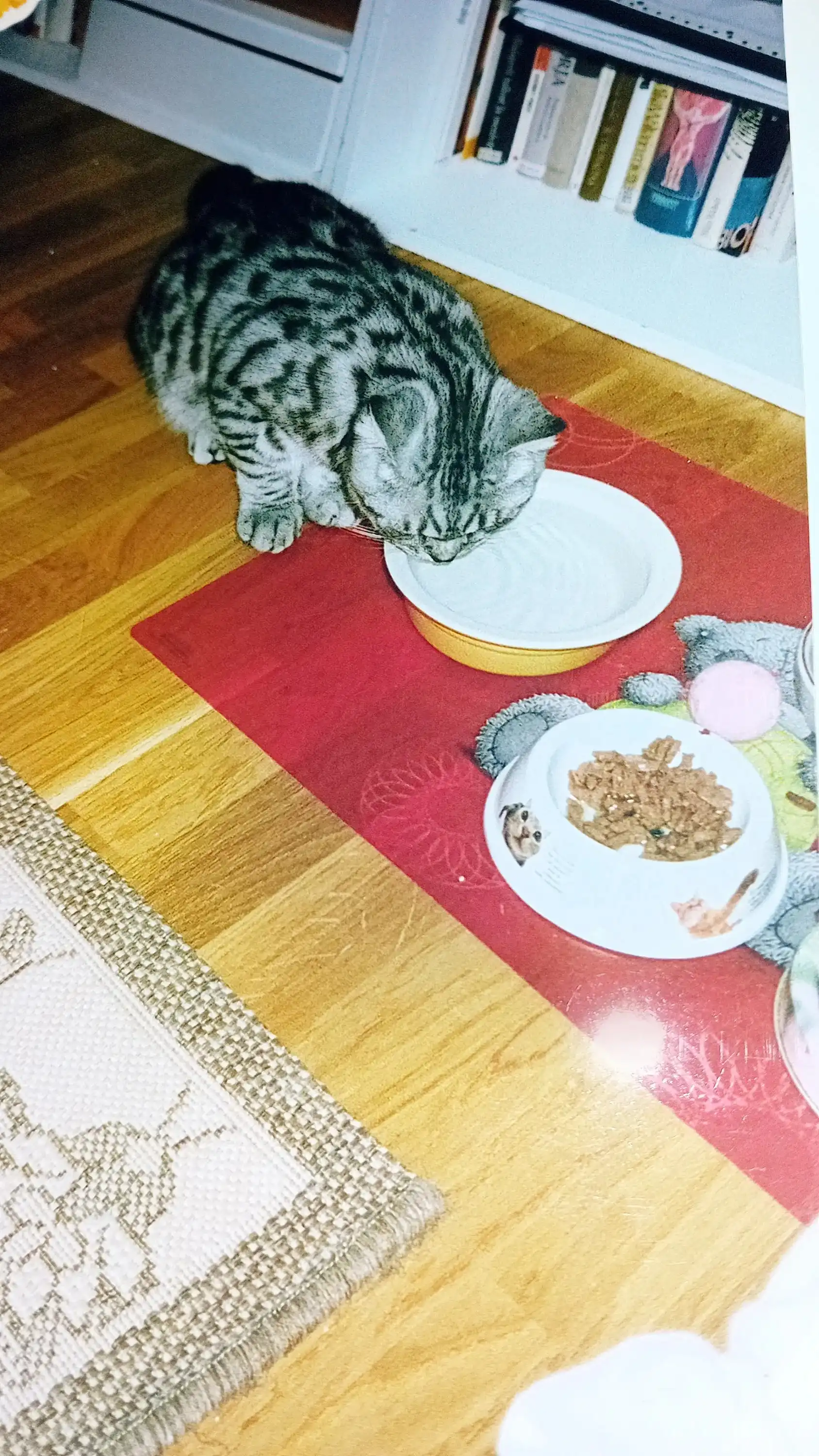 image-9