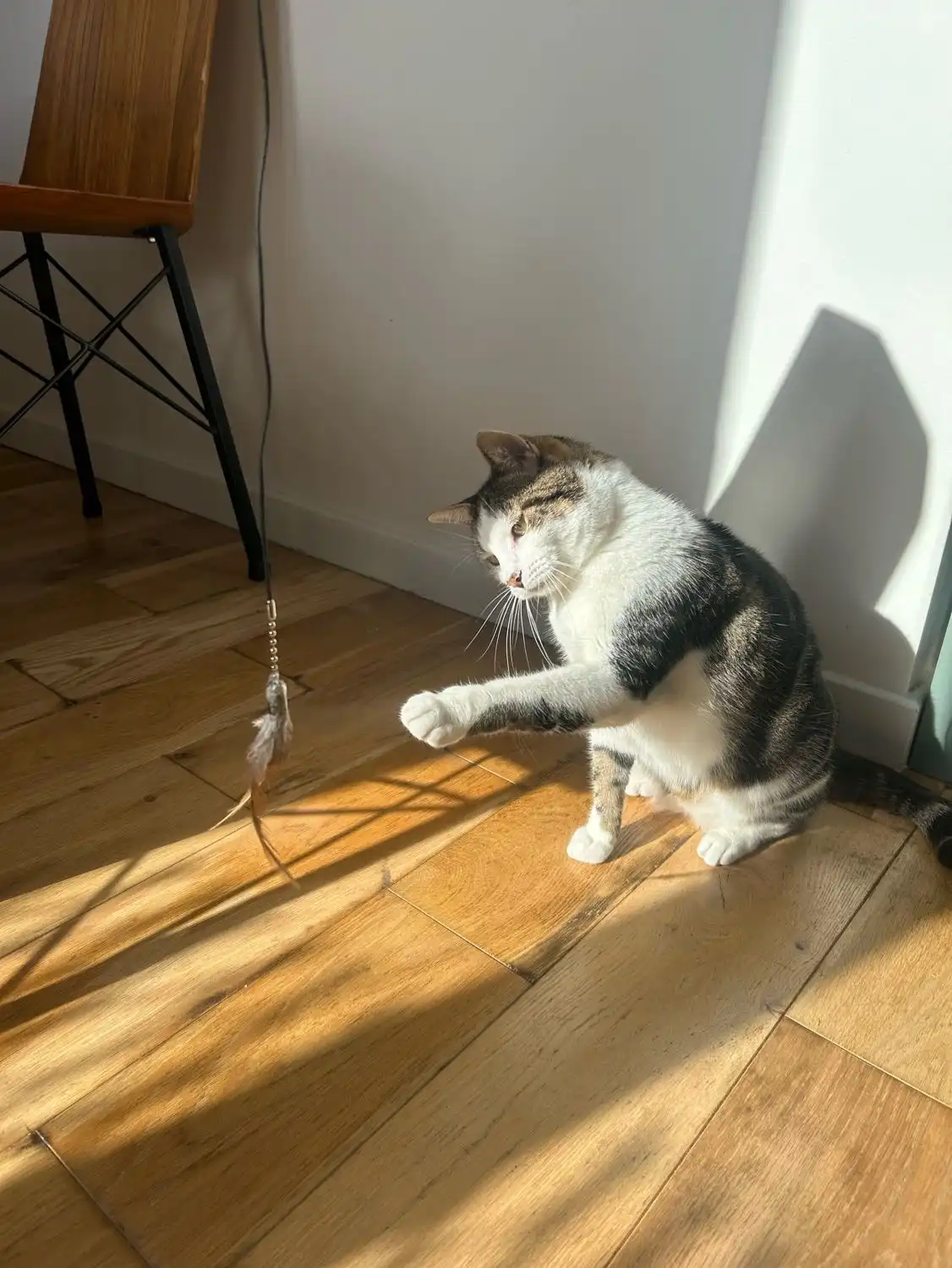 image-6