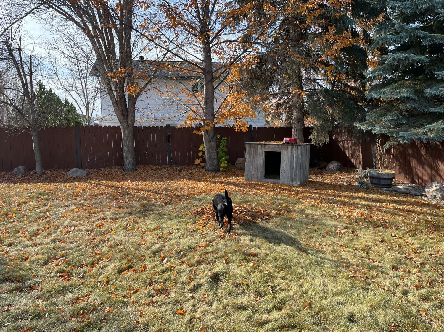 image-5