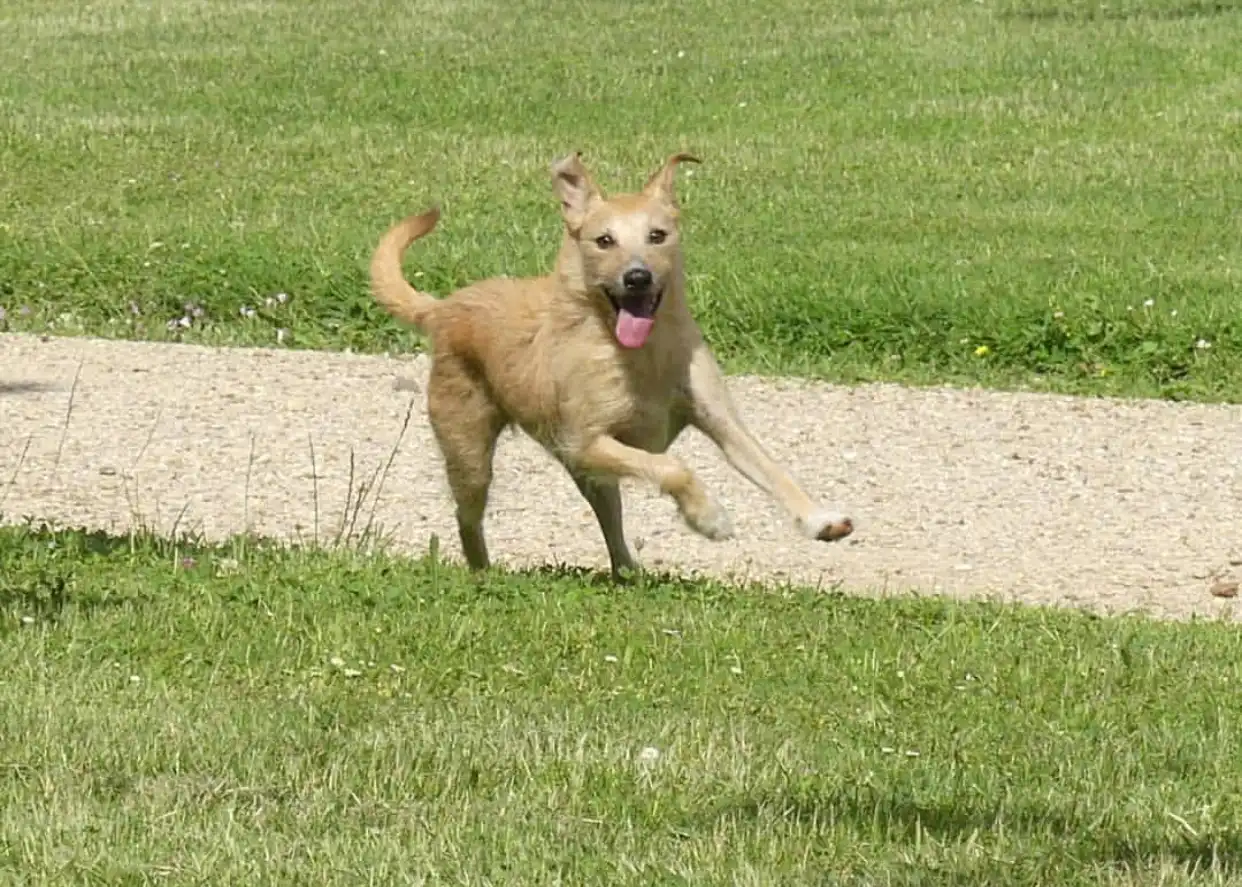 image-10