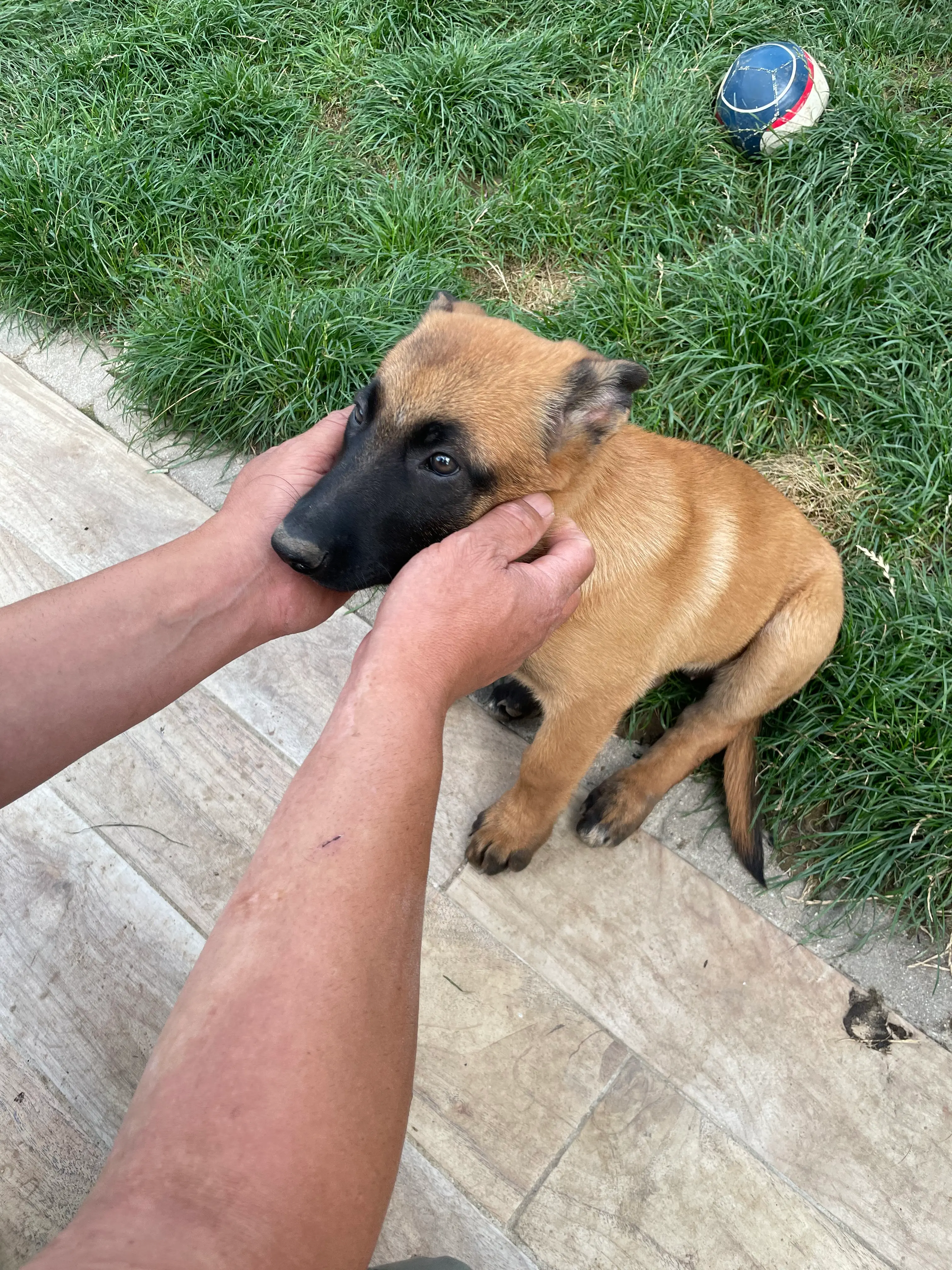 image-4