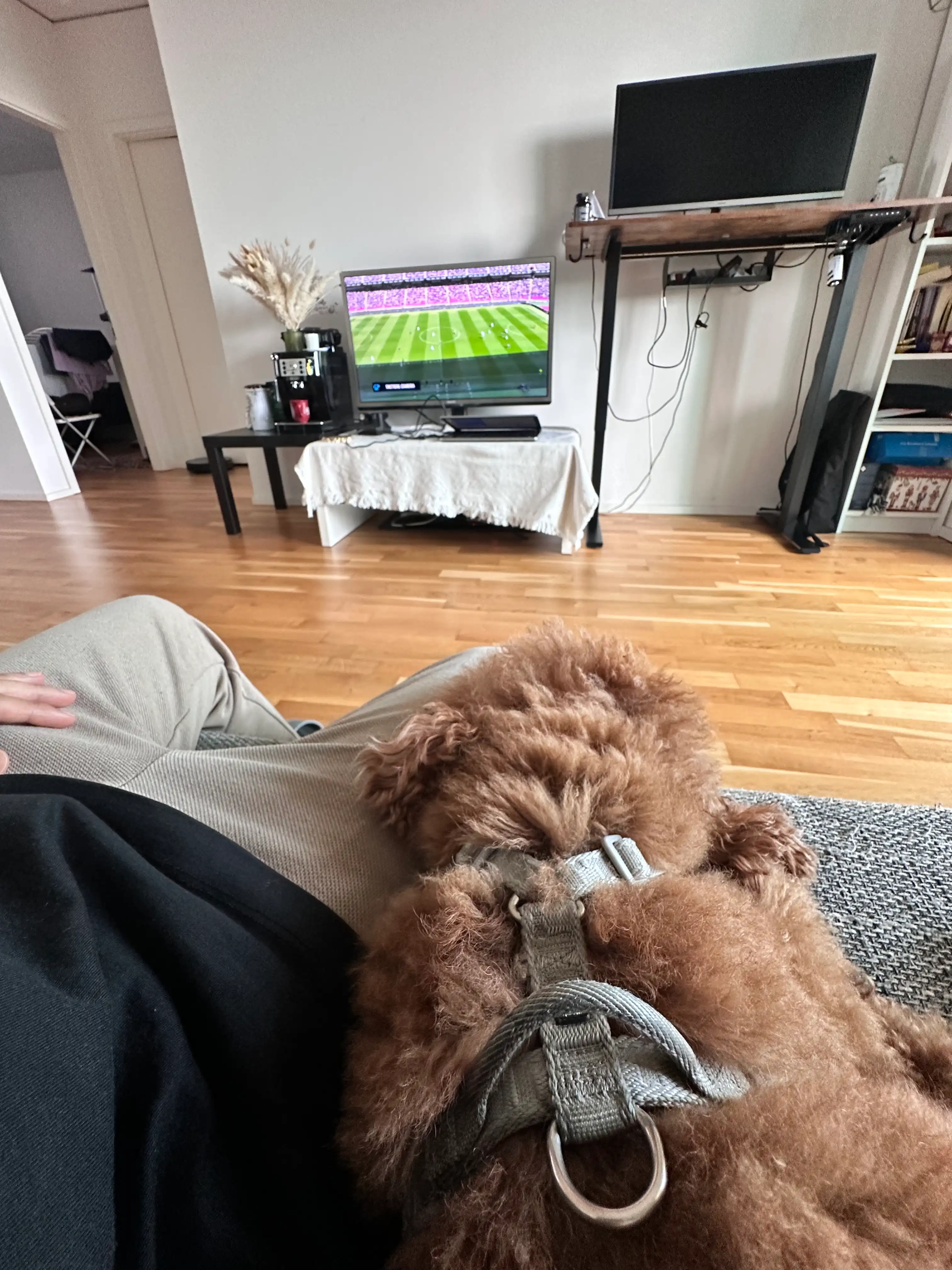 image-9
