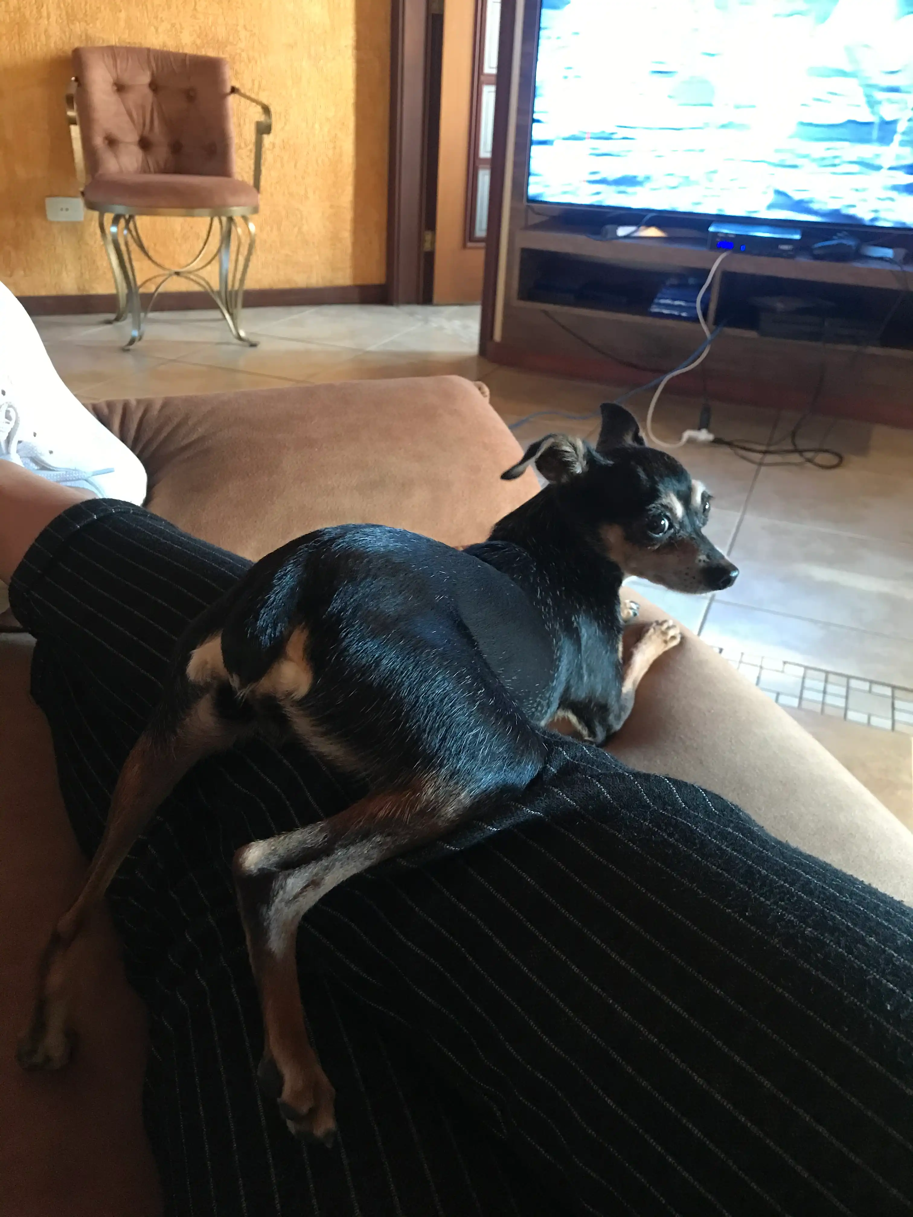 image-7