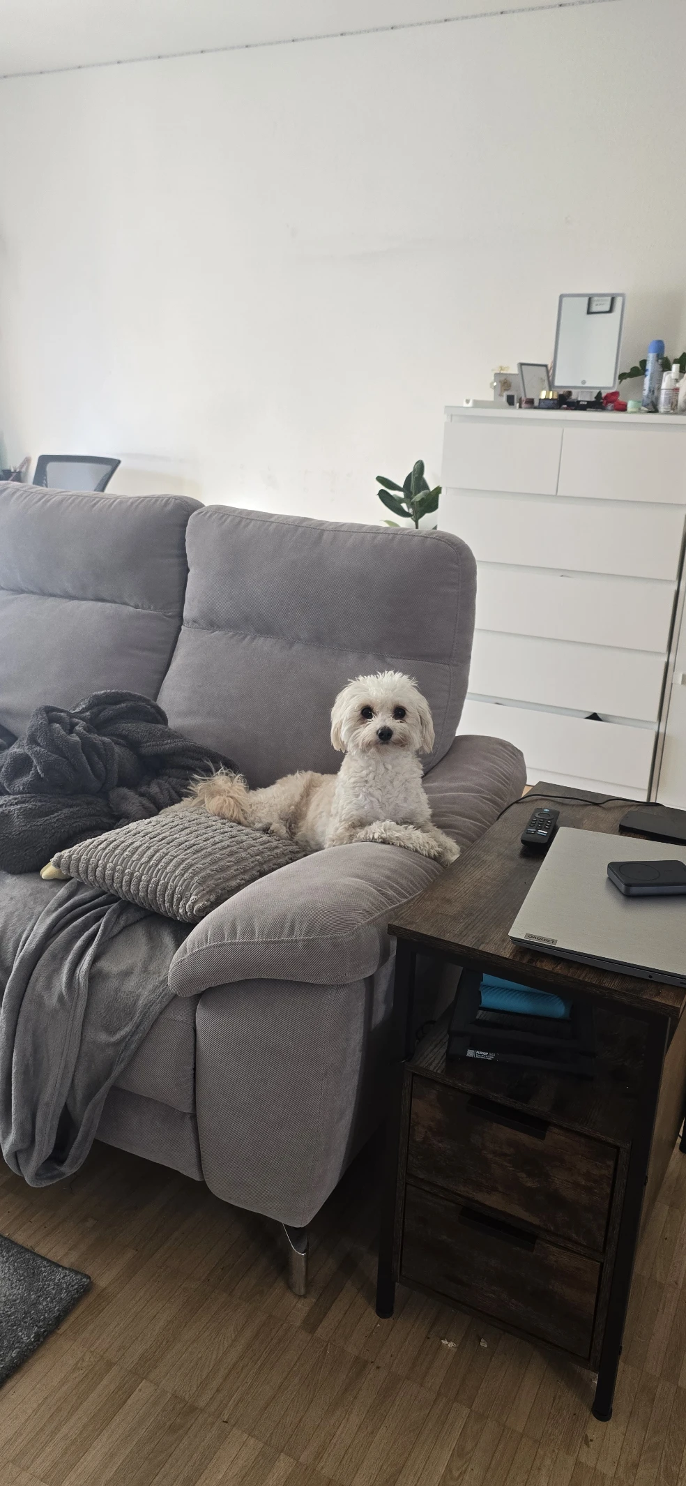 image-18