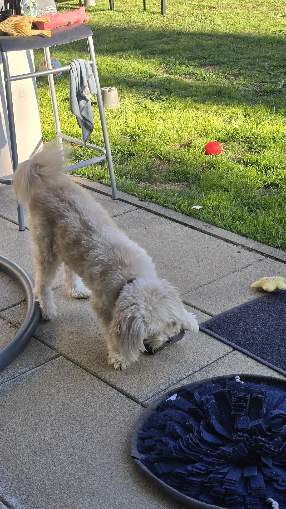 image-16