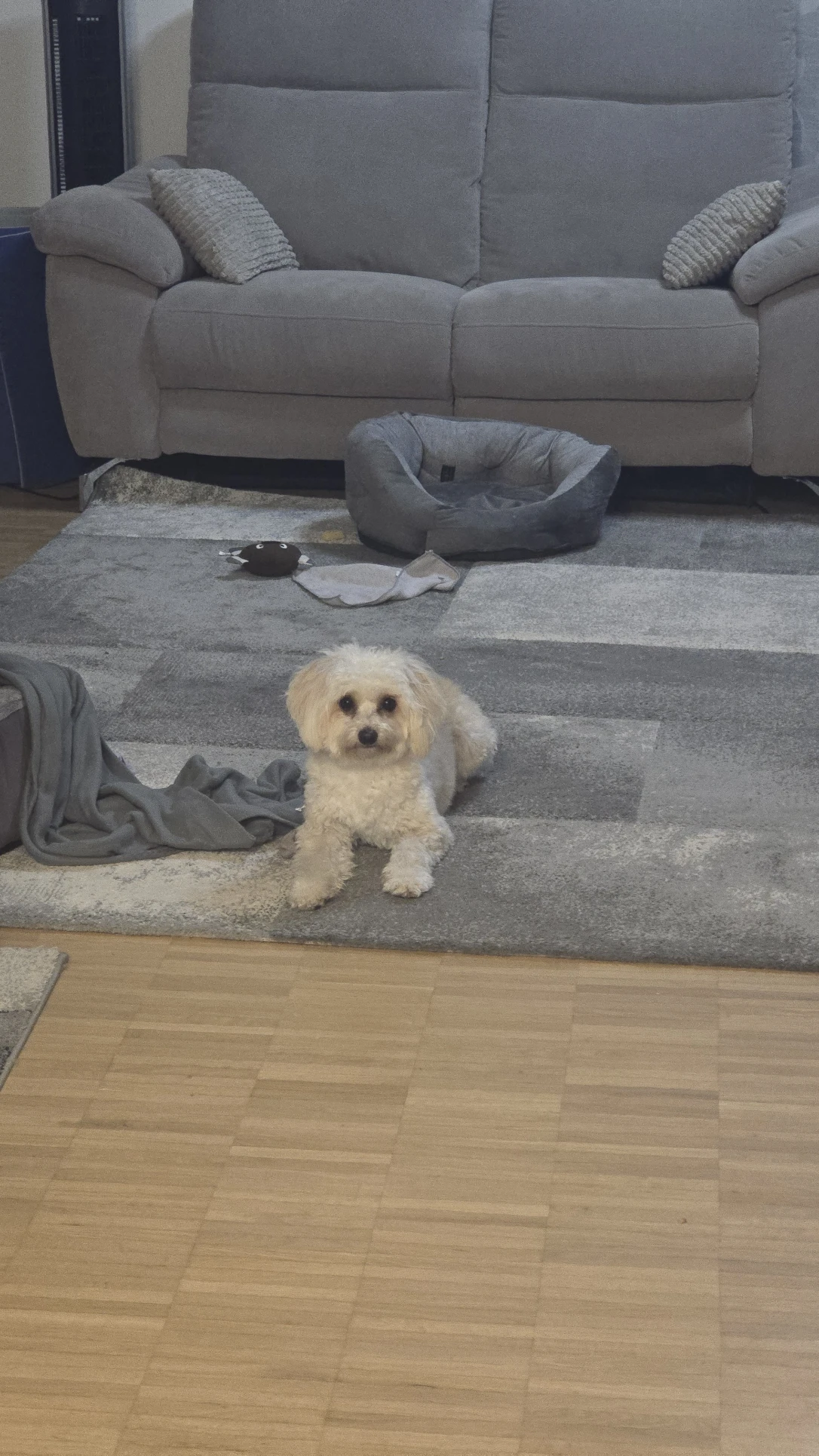 image-7