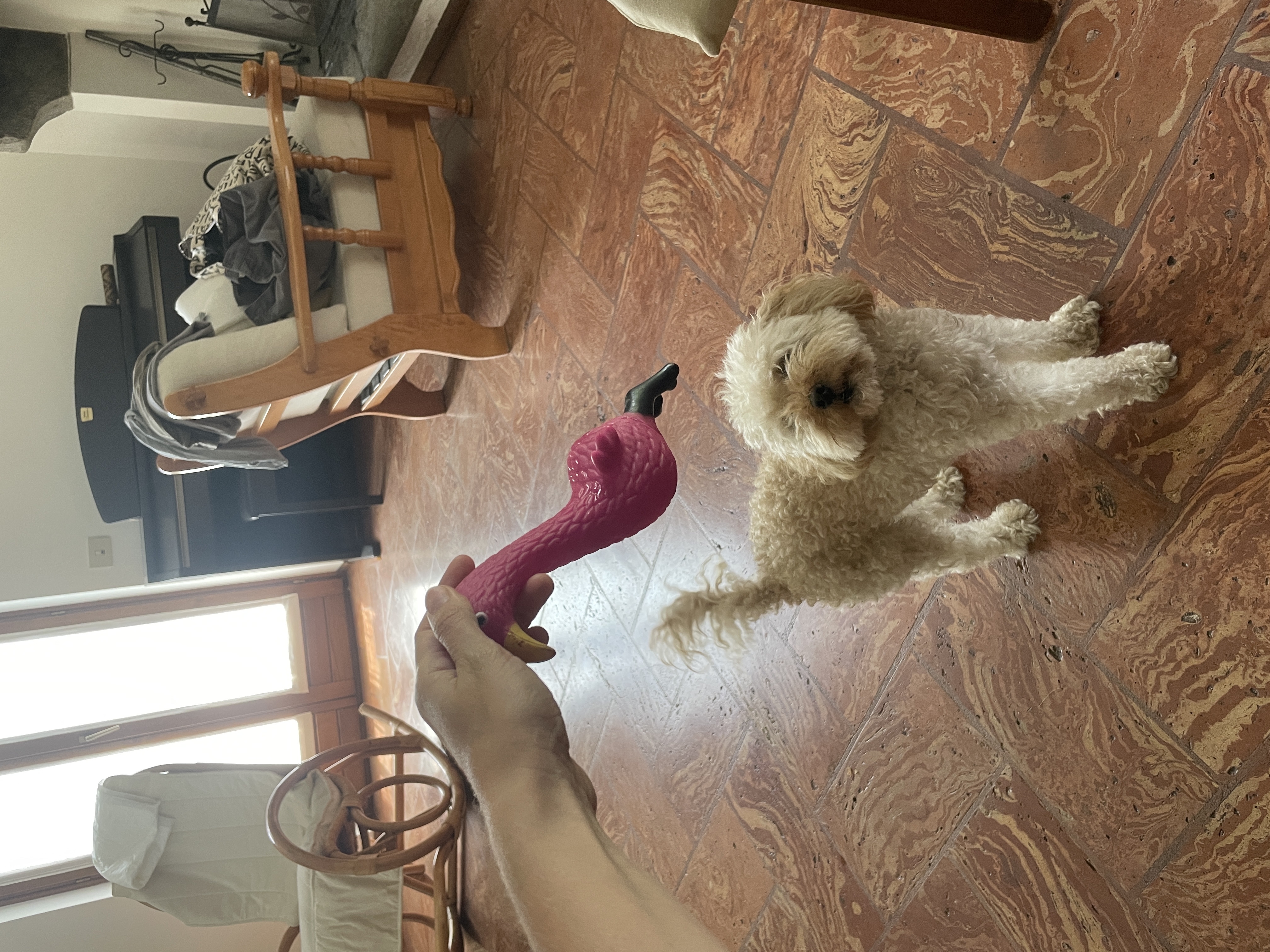image-12