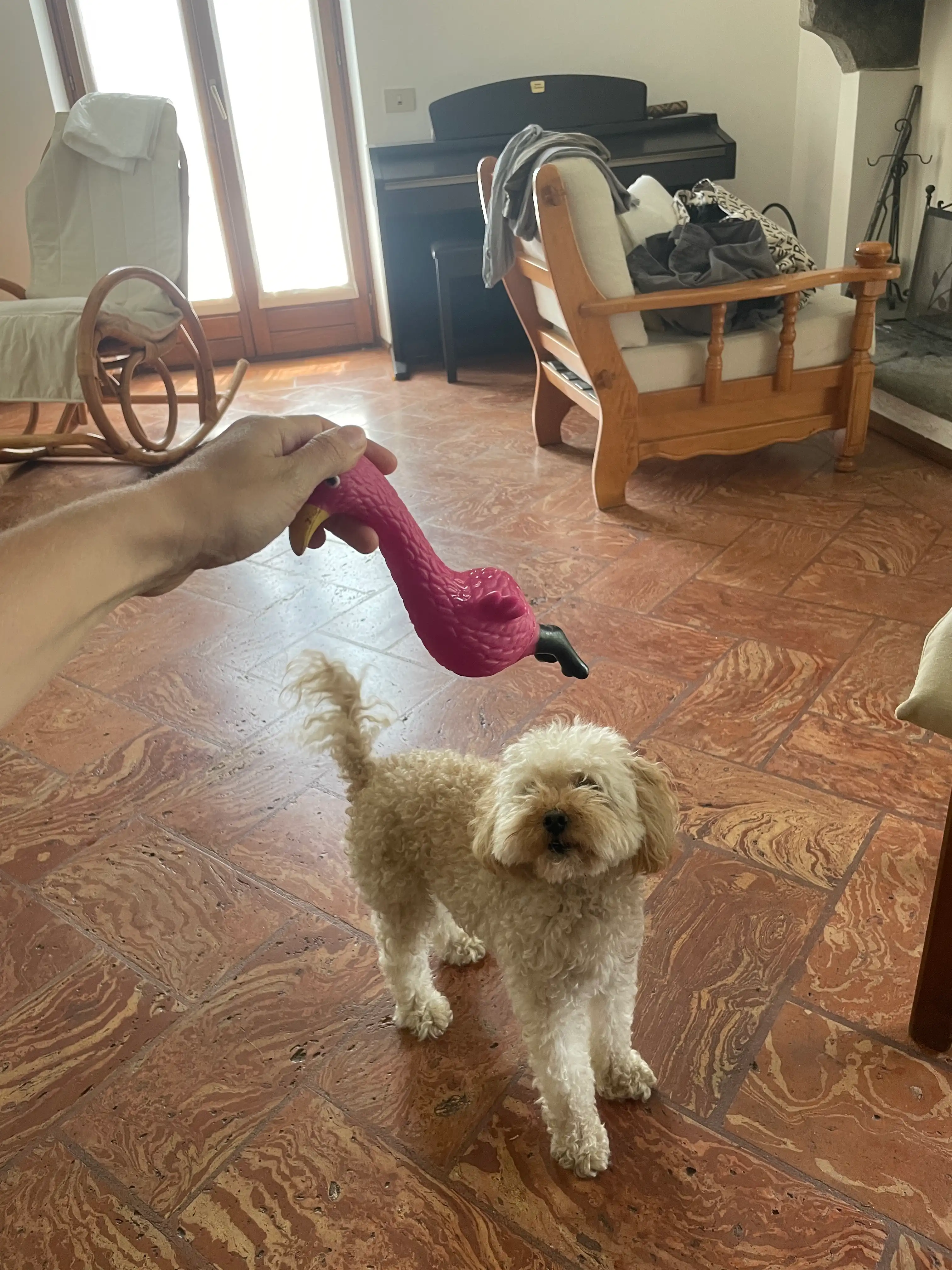 image-12