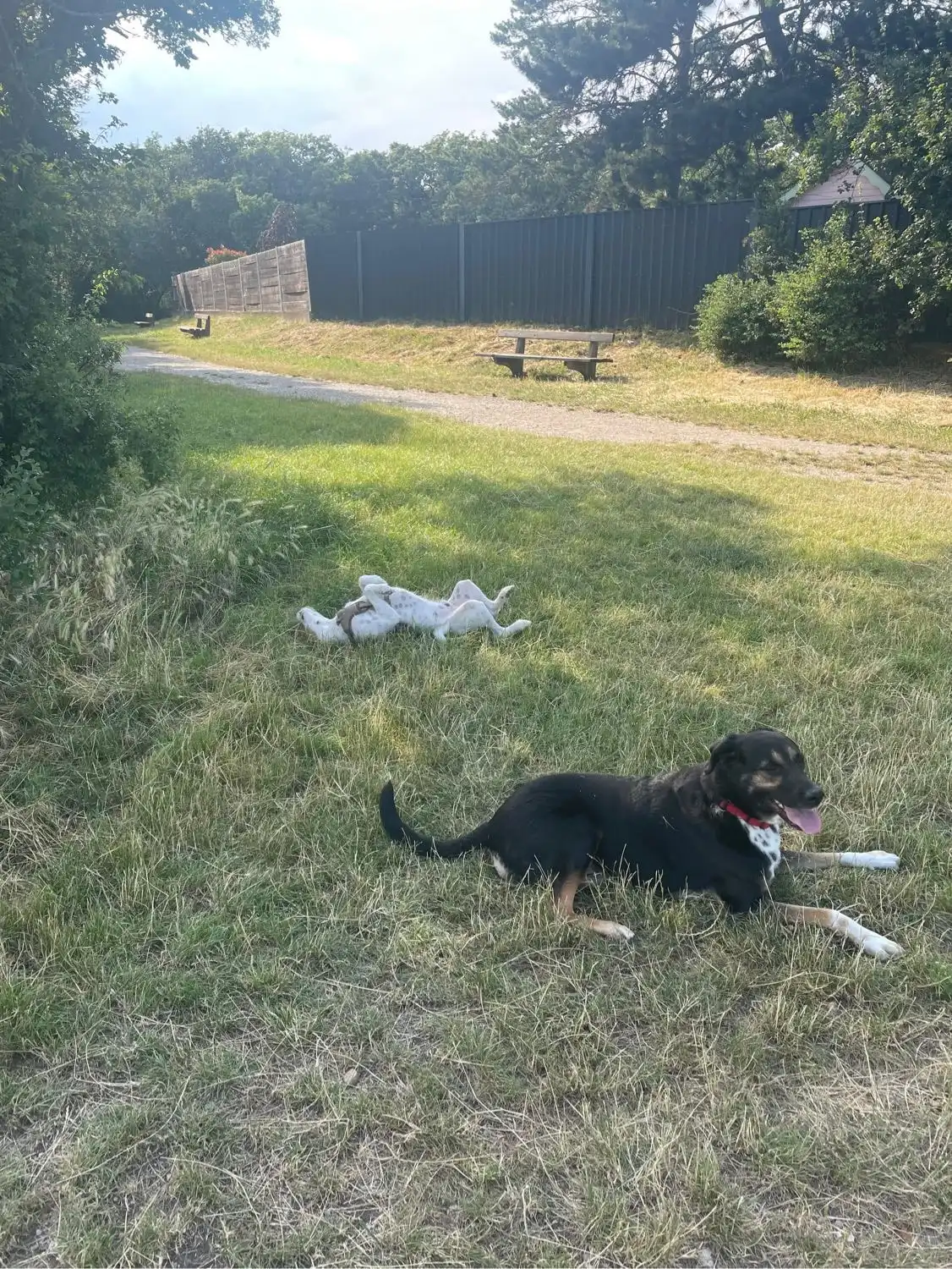 image-18
