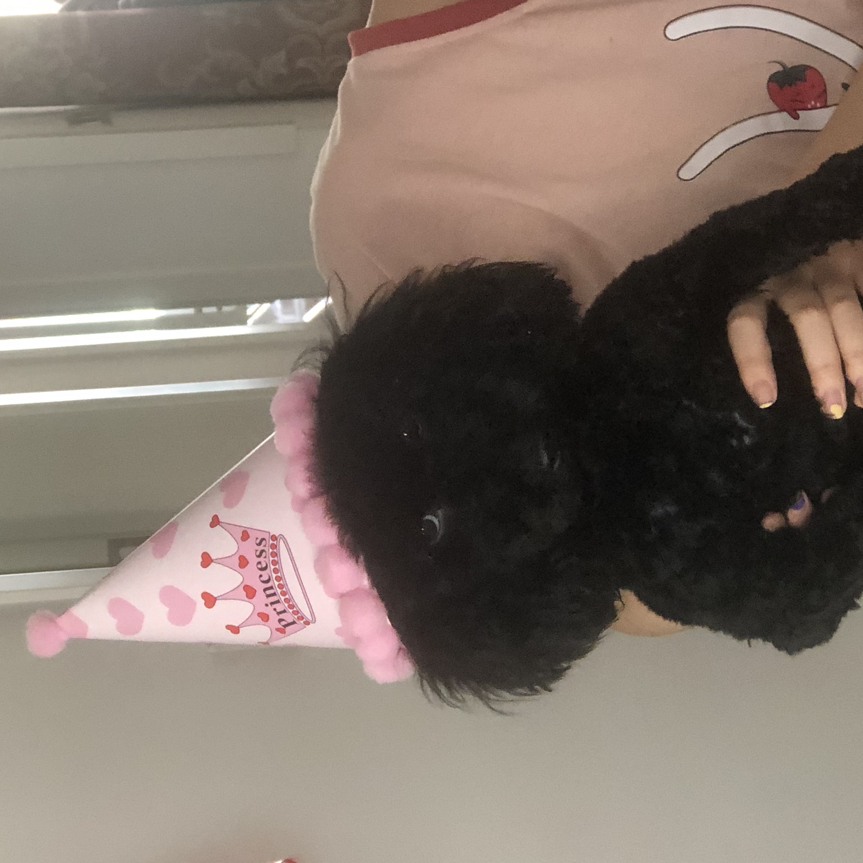 image-5