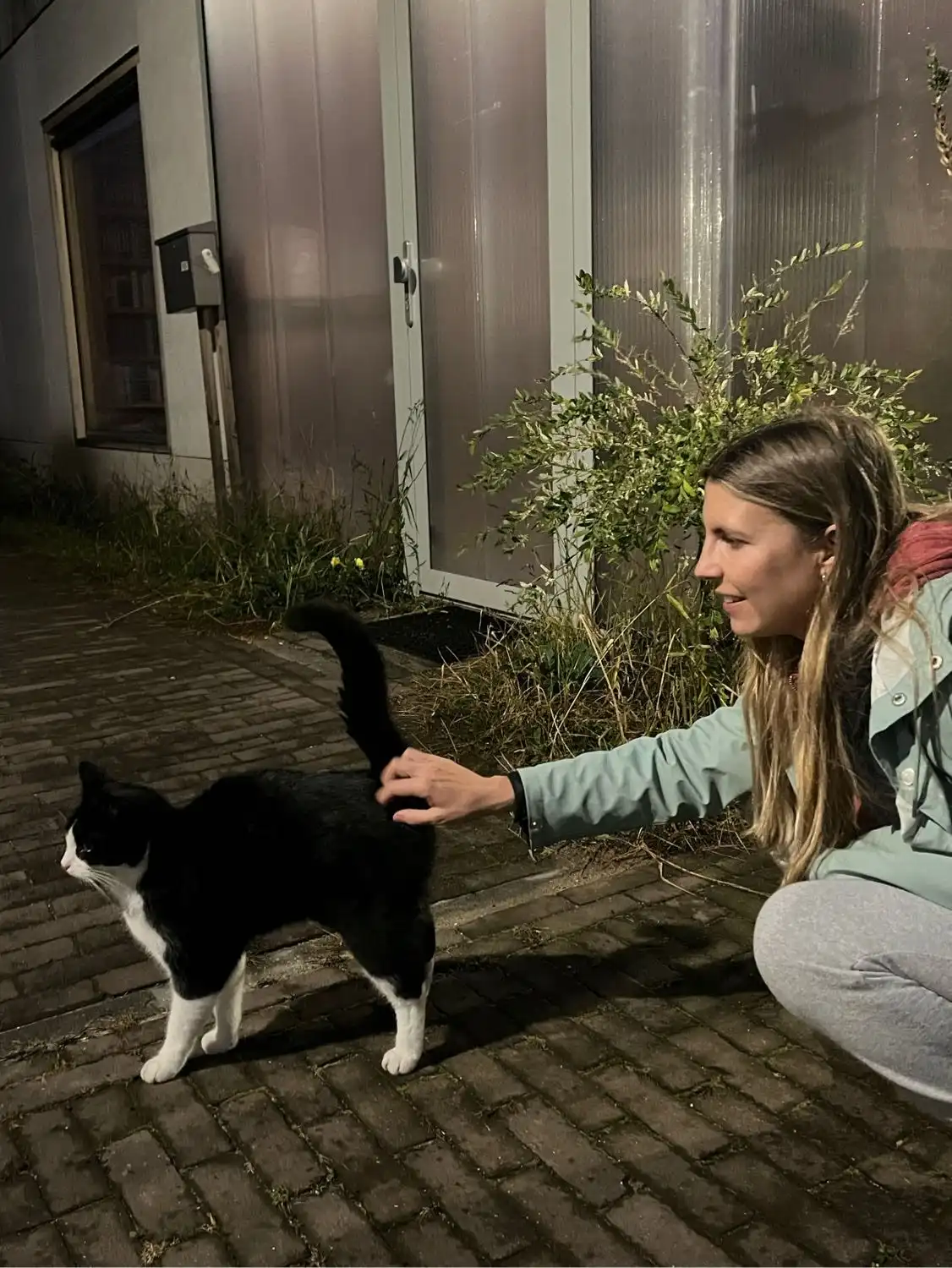 image-10