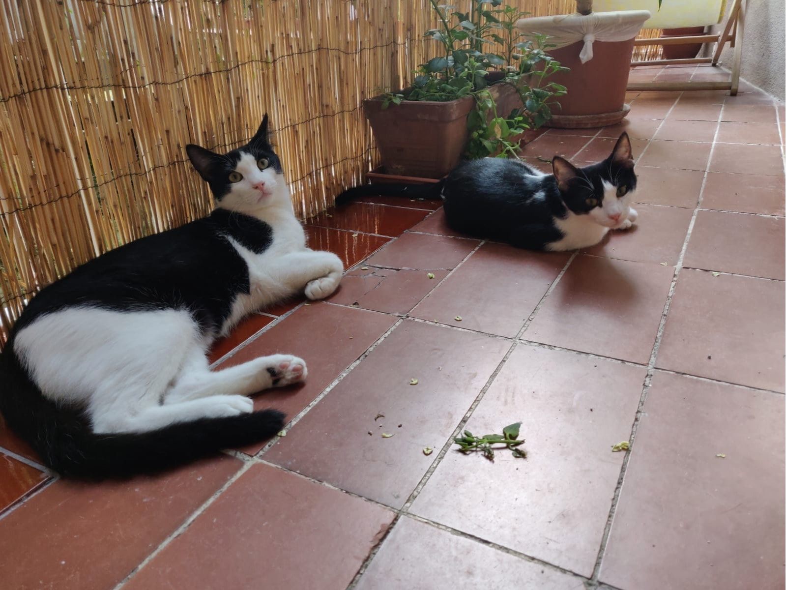image-5