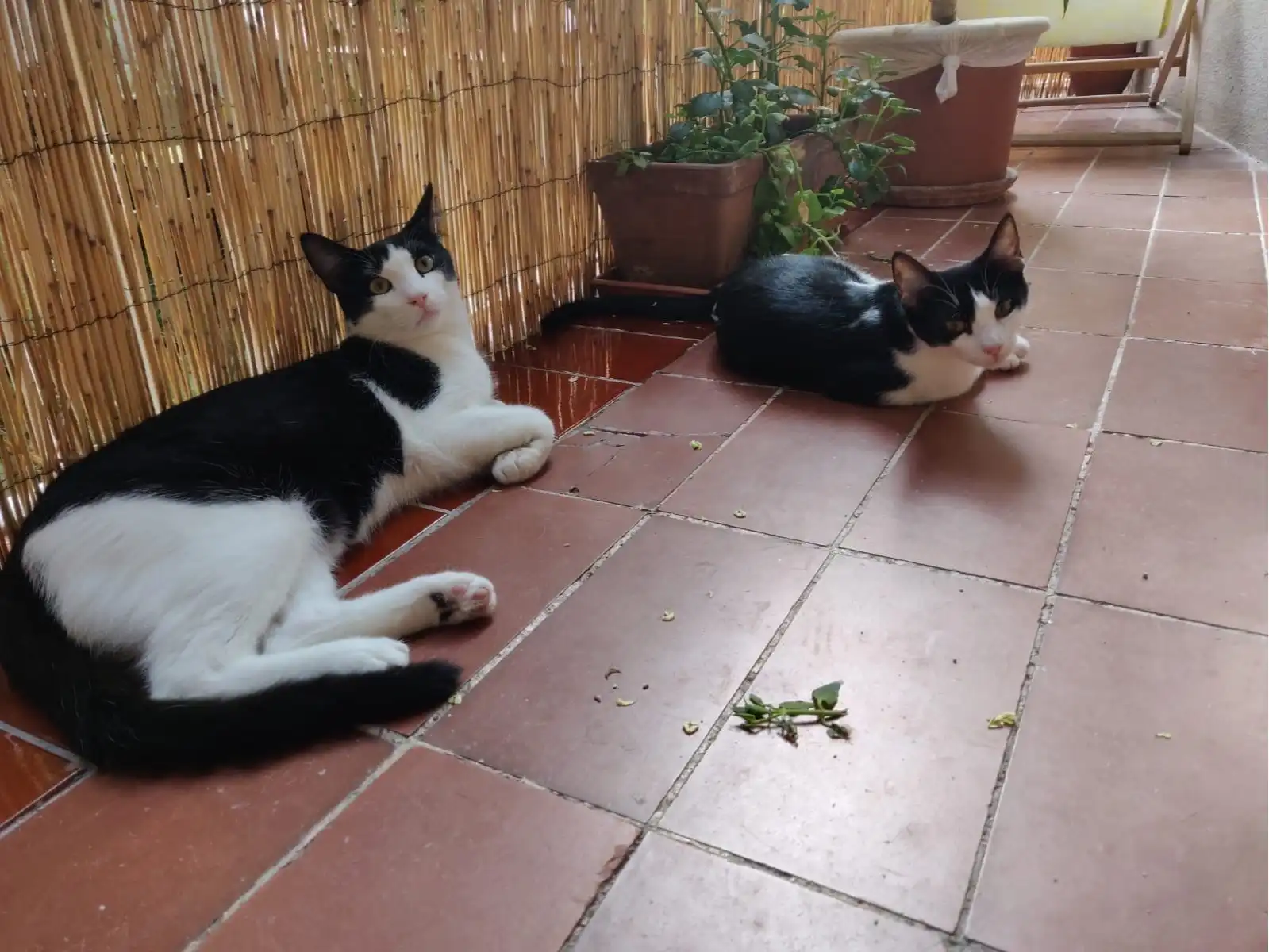 image-5