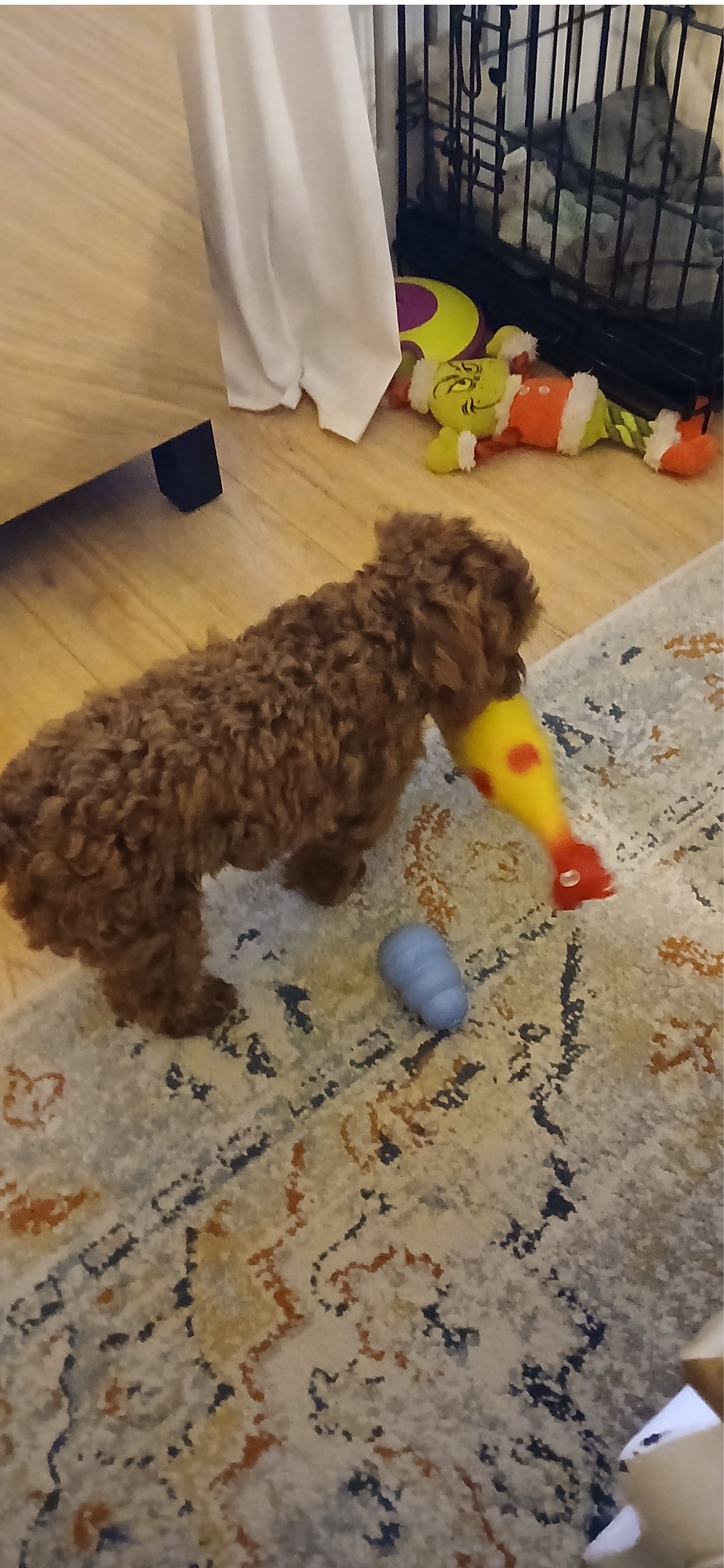 image-6