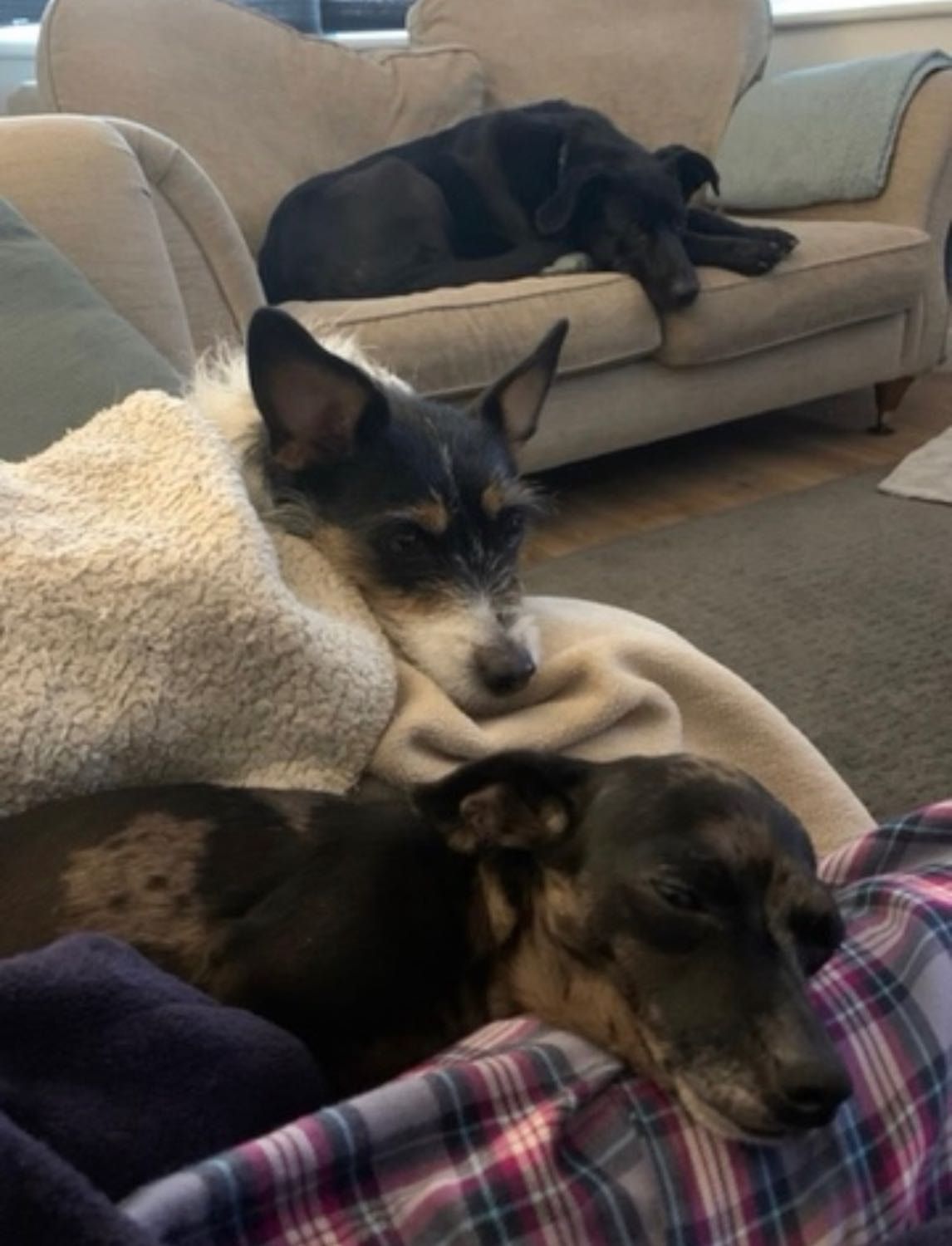 image-11